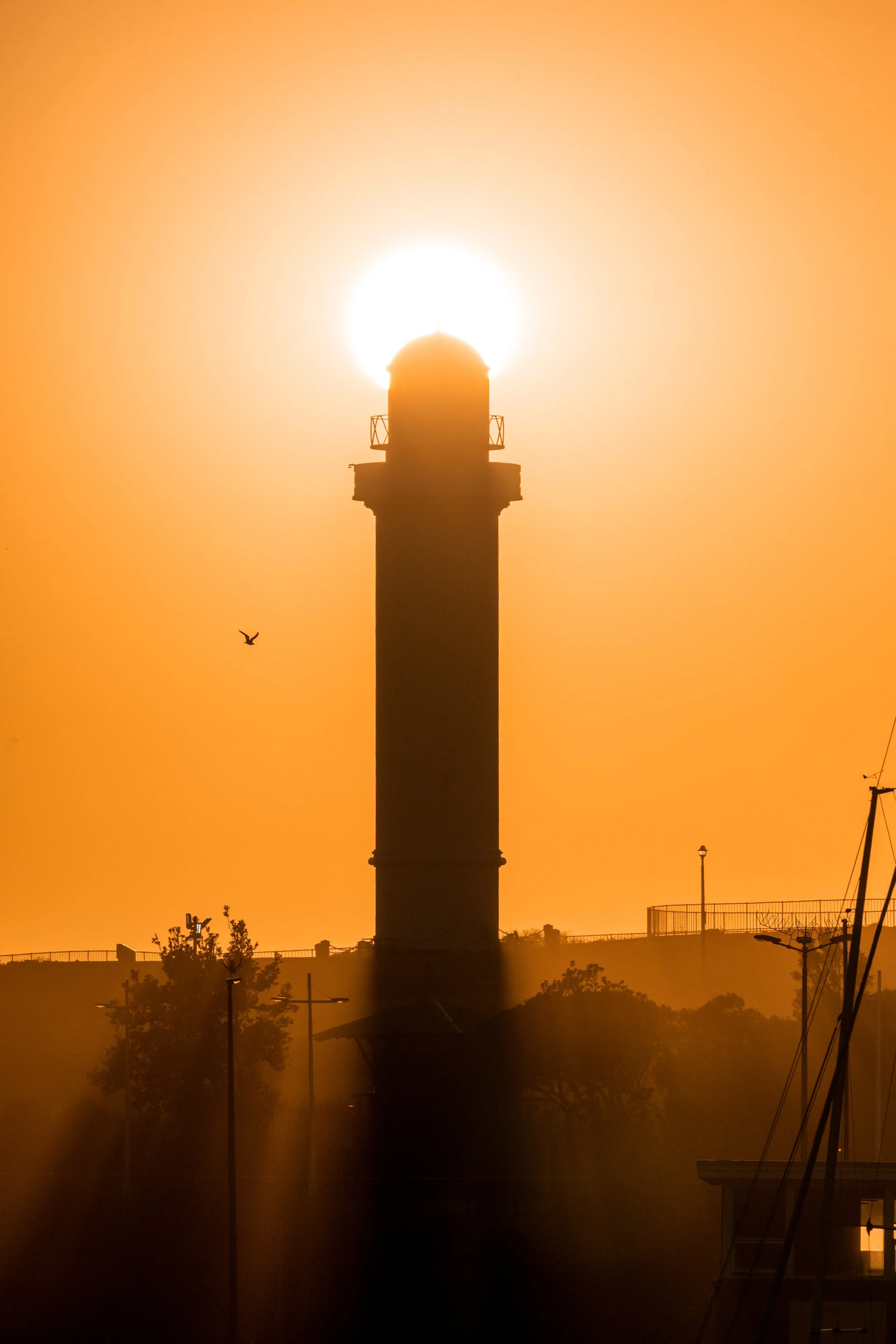 Atmospheric Lighthouse Bird 19-12-2025.jpg