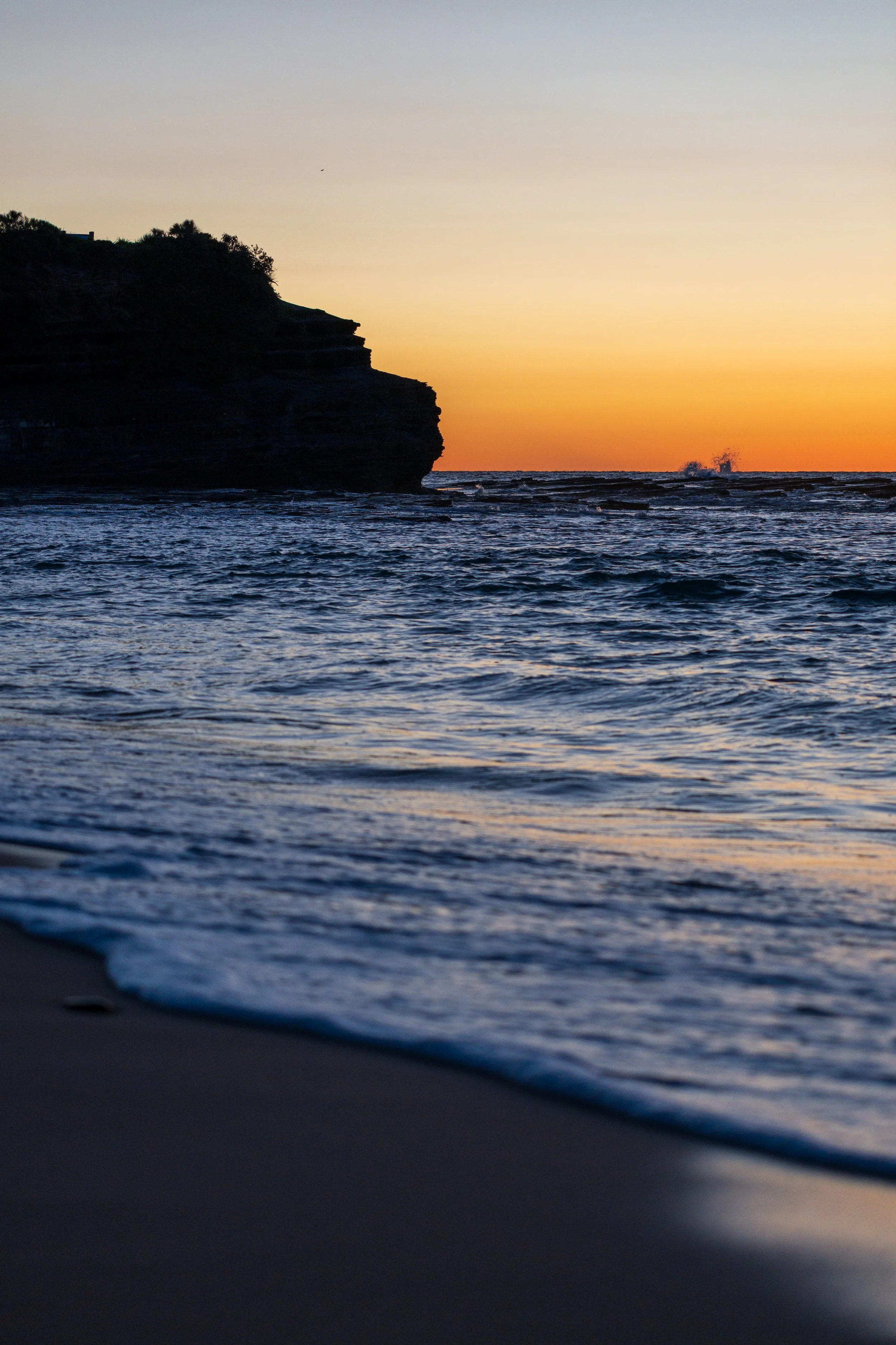 Glowing Austinmer 29-07-2026-15.jpg