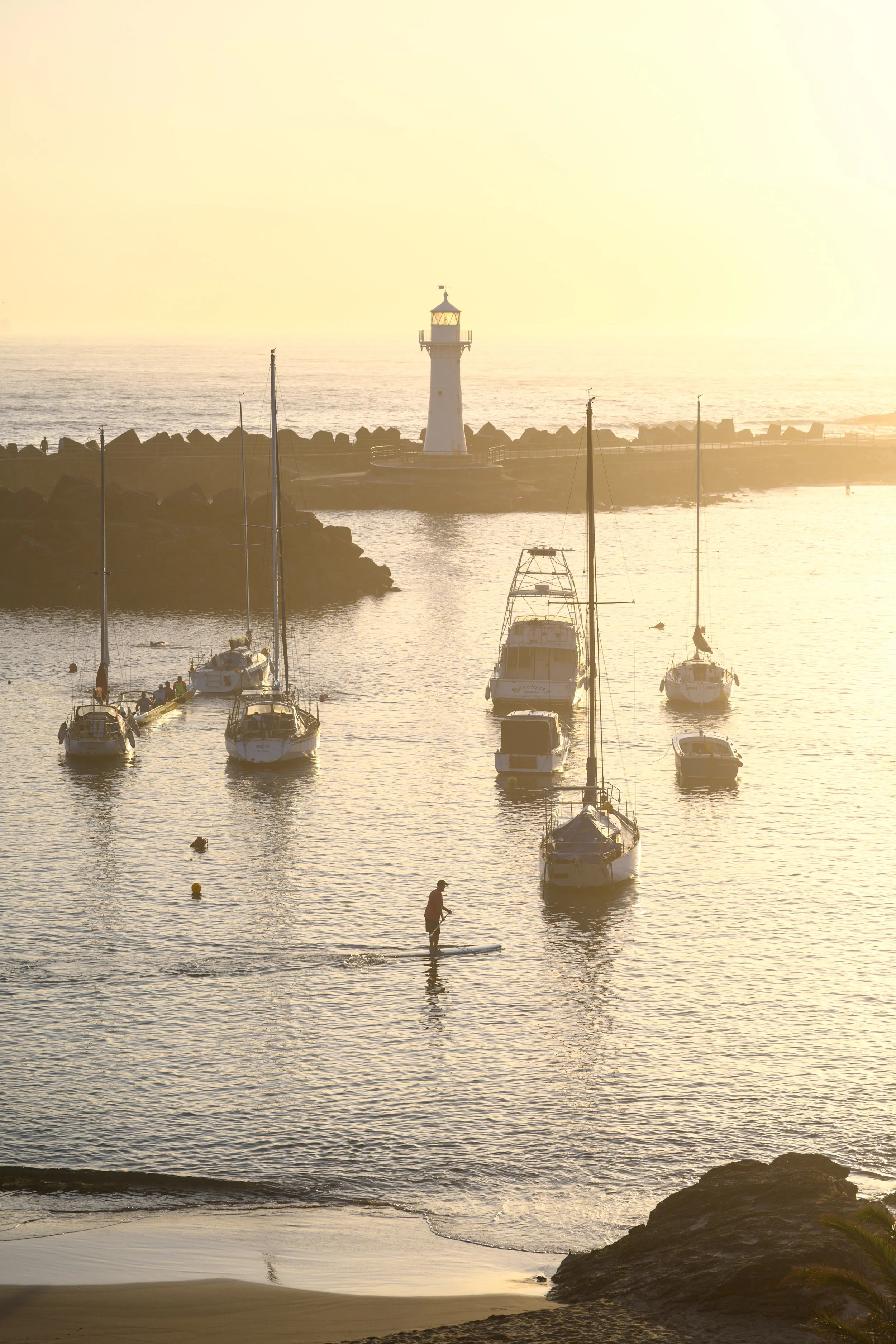 Gong Stuff 29-01-2026-3.jpg