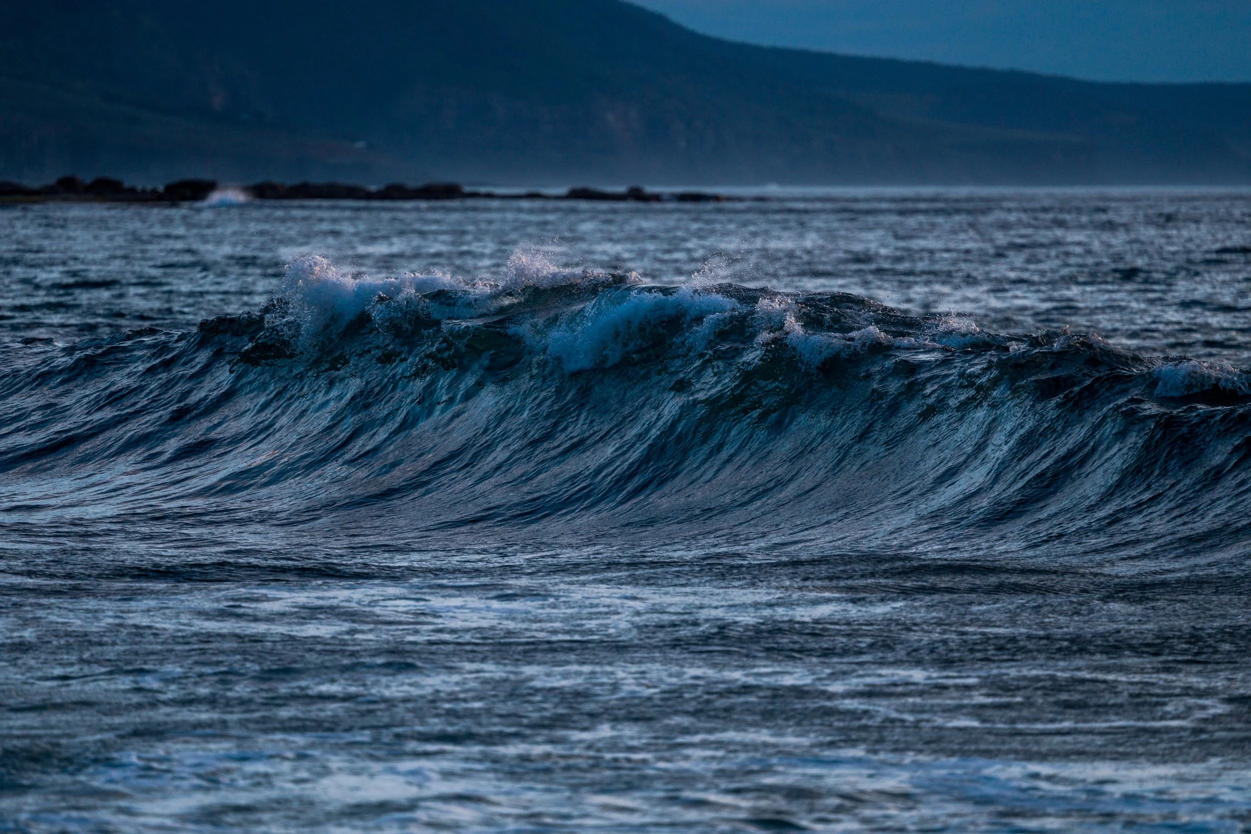 Wombarra Waters 03-09-26-15.jpg