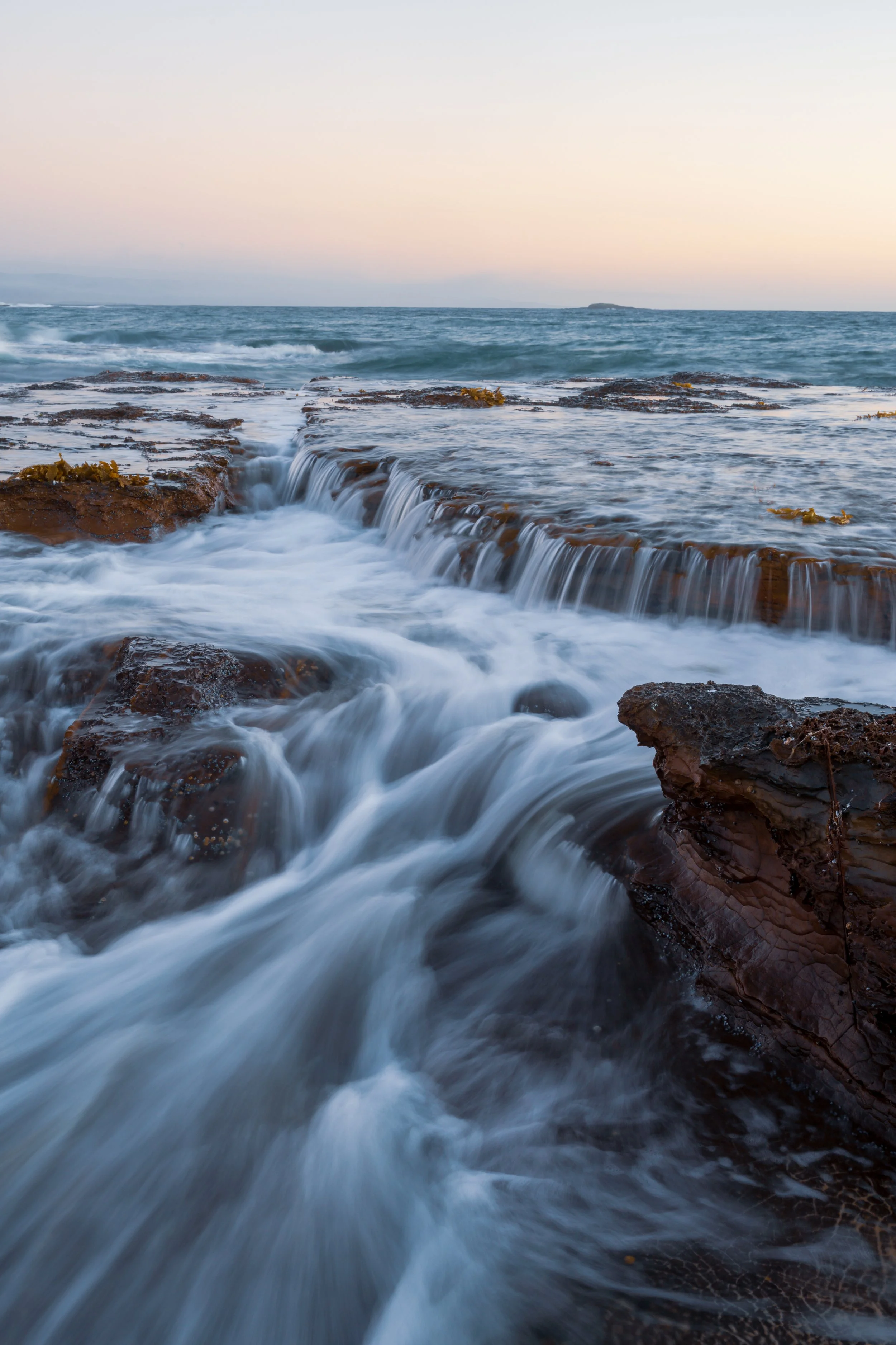 Flow Tapine 28-01-2025.jpg