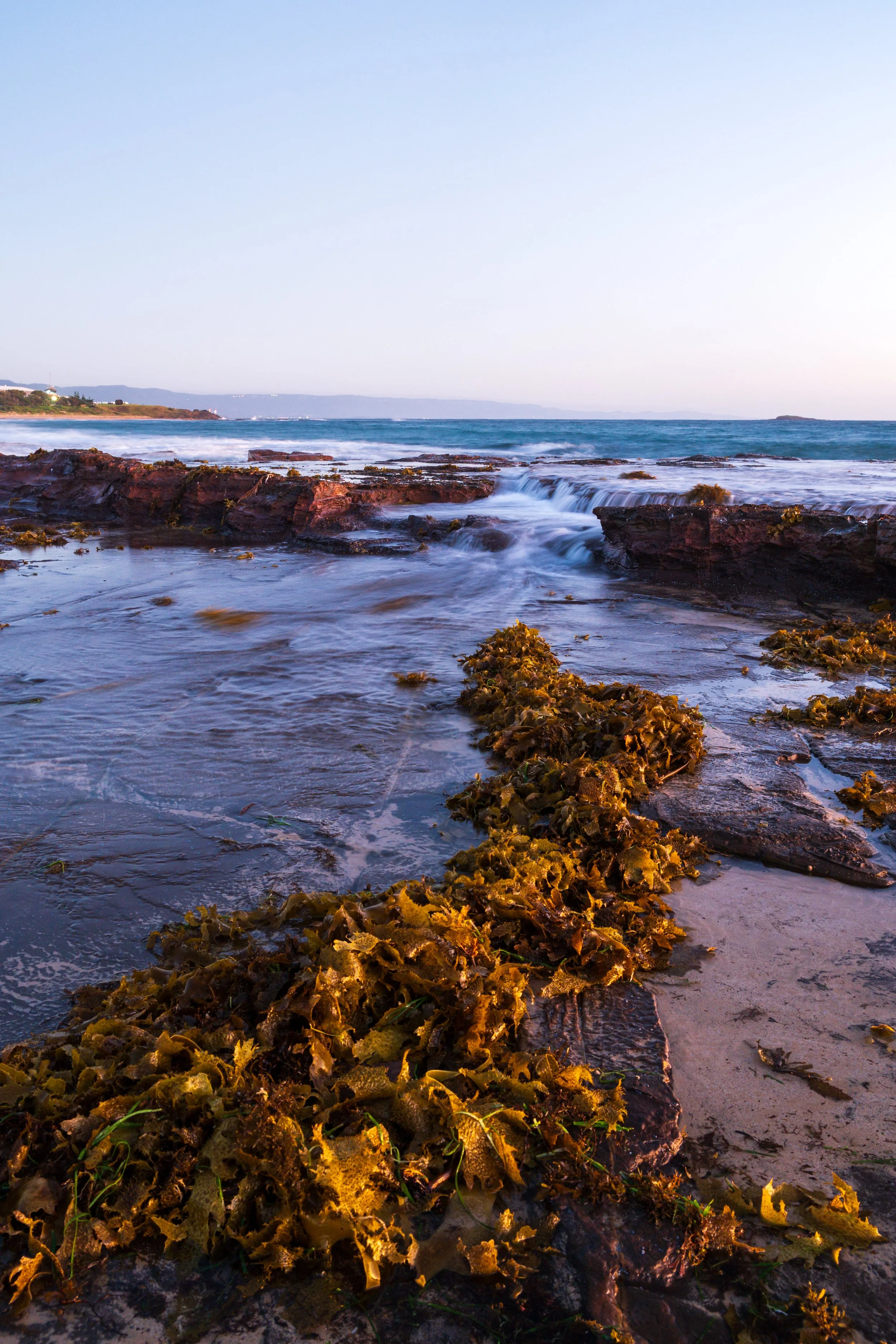 MM Beach 28-01-2026-3.jpg