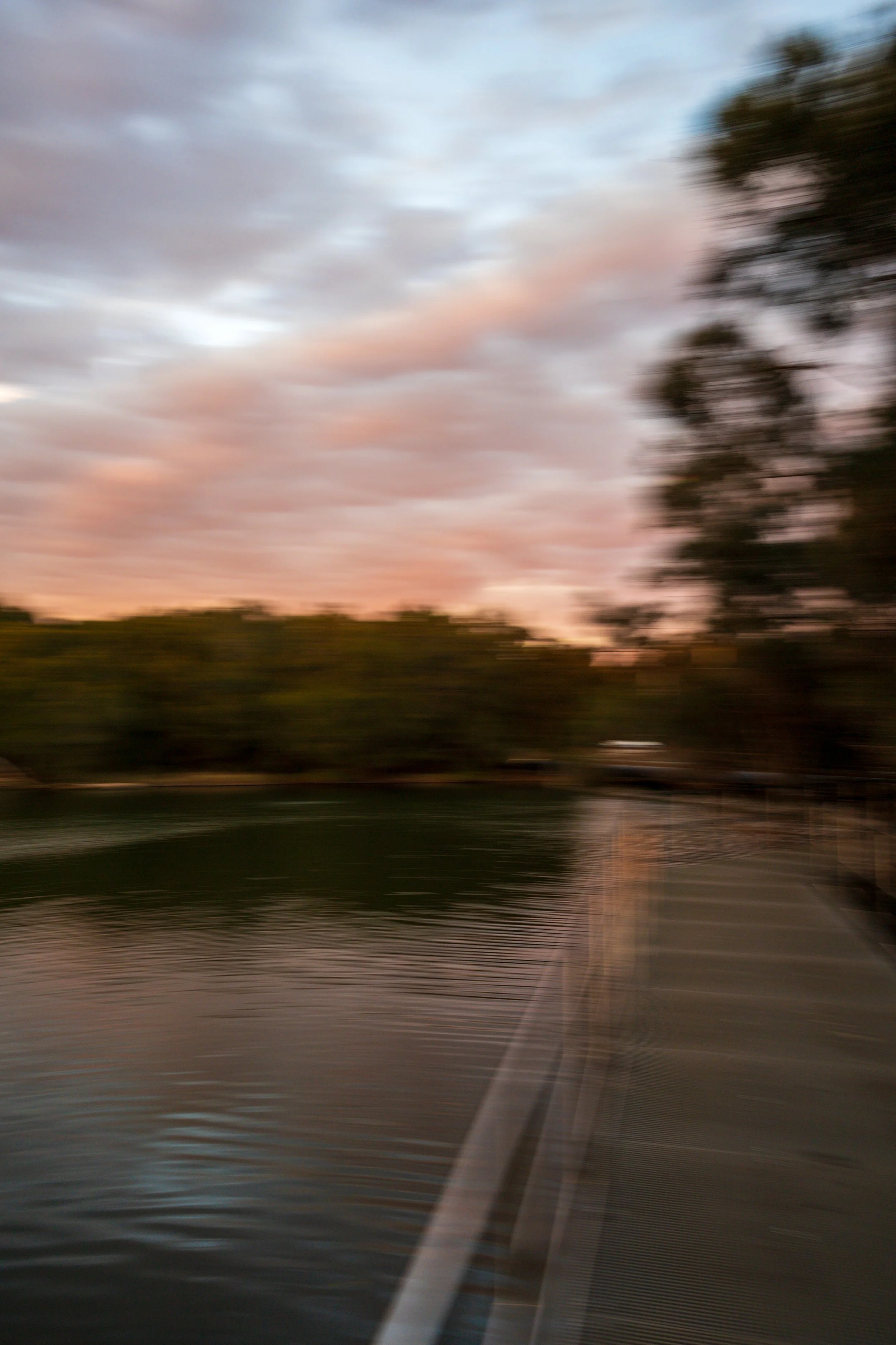 Walk Around the Park 03-08-26-19.jpg