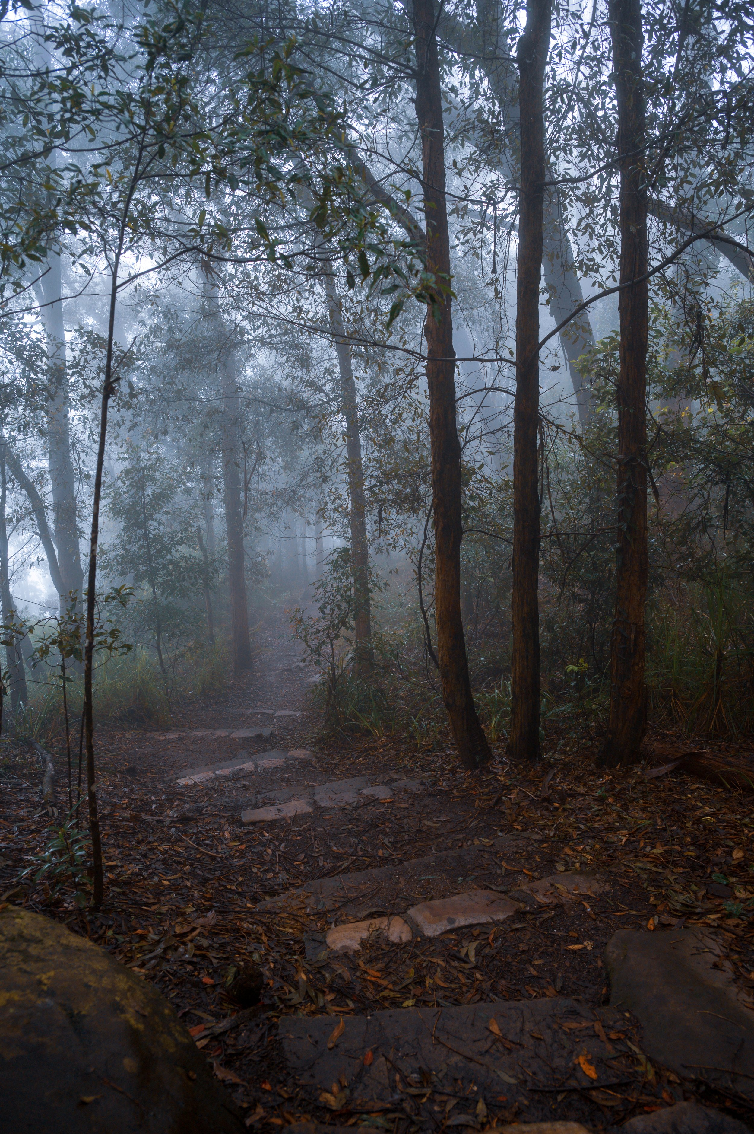 Mtns6.jpg