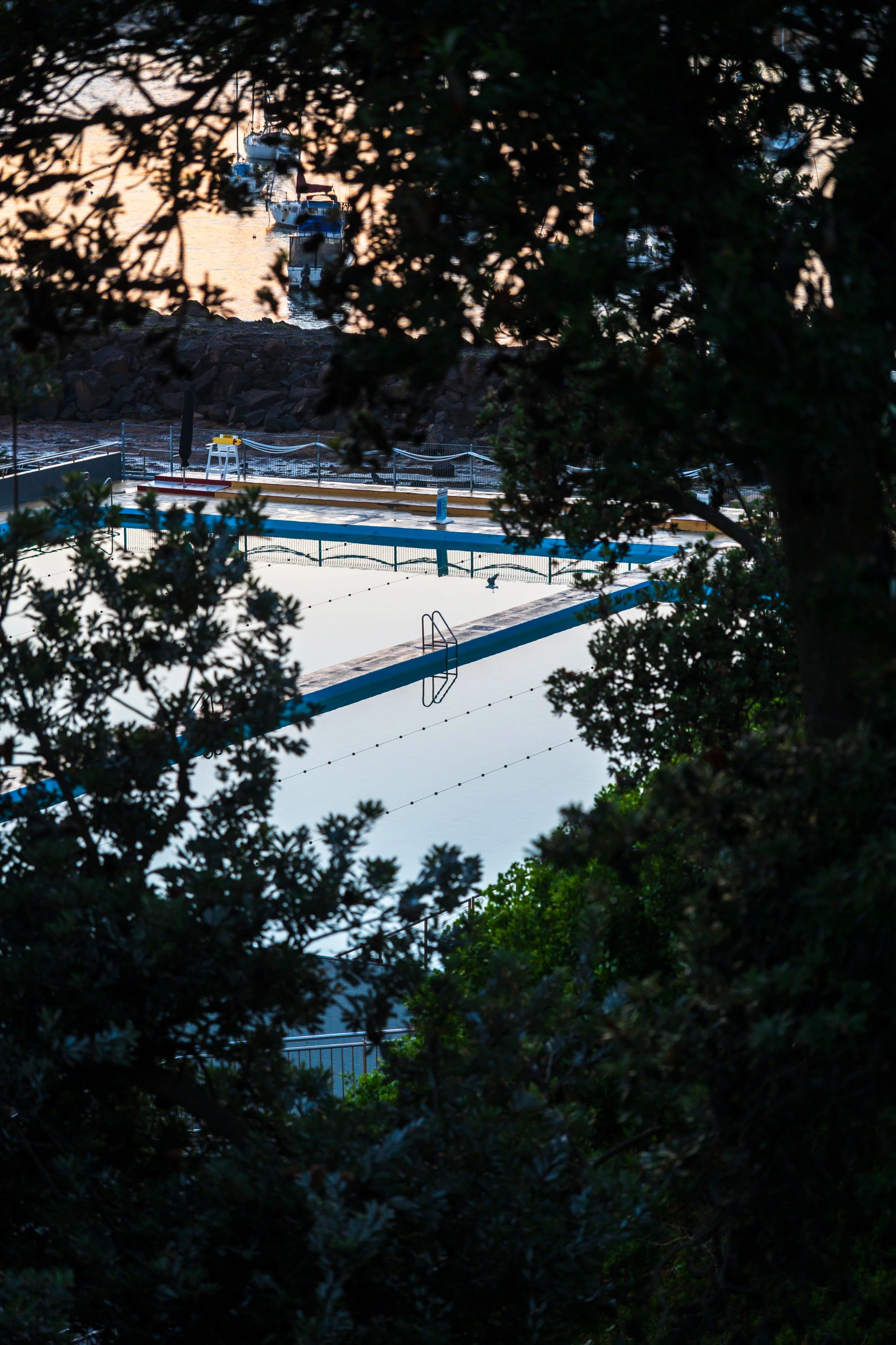 Harbour Glowing 19-12-2025-3.jpg