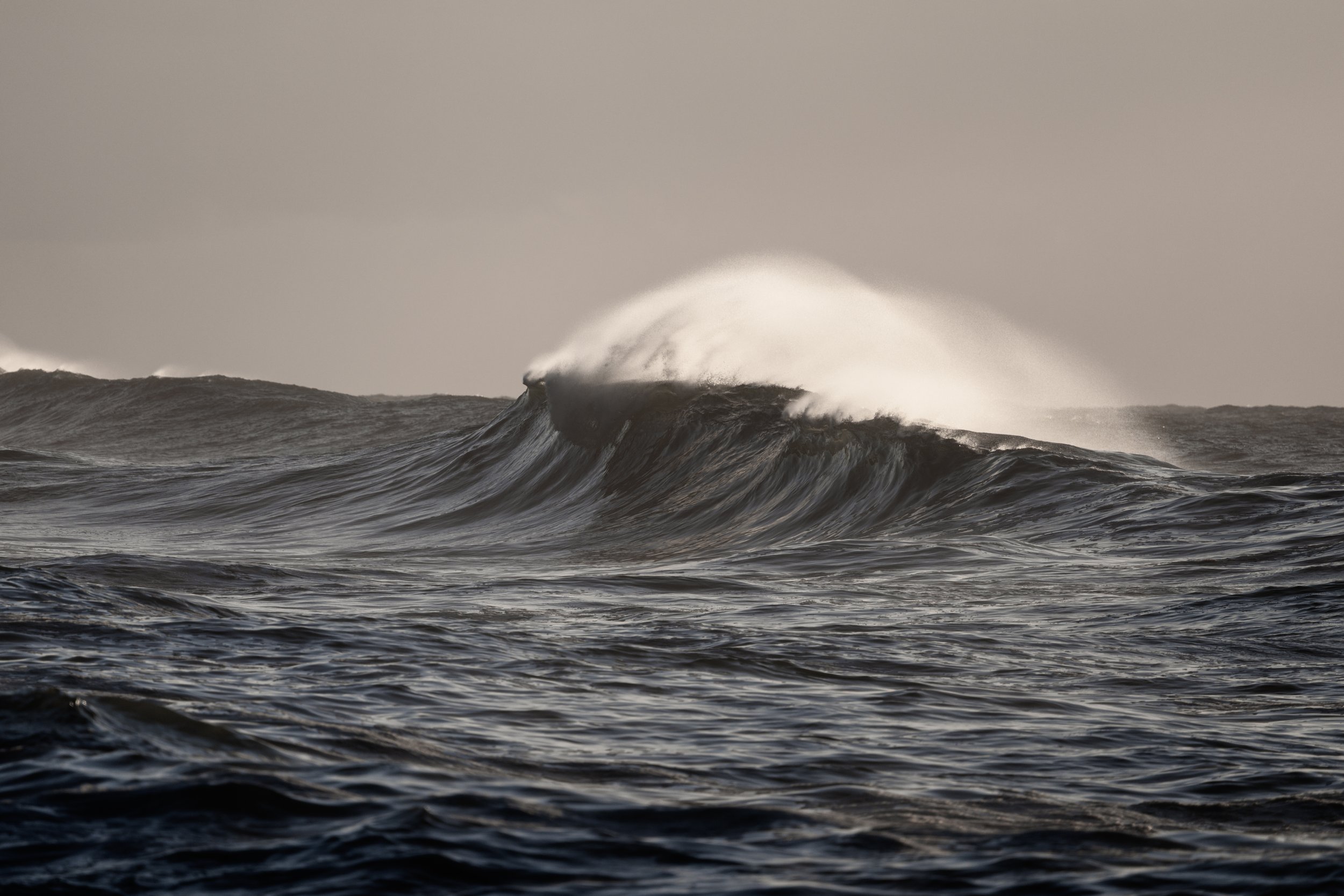 Coalcliff Swell 29-03-2026-12.jpg