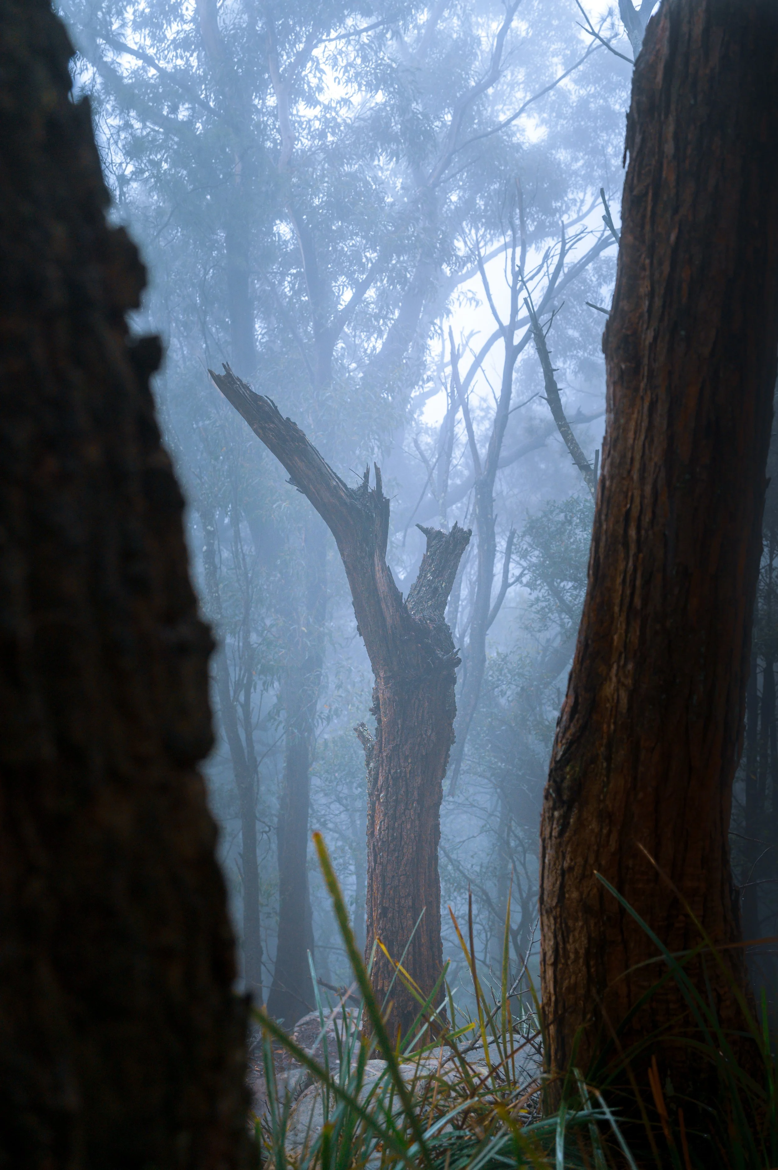 Mtns2.jpg