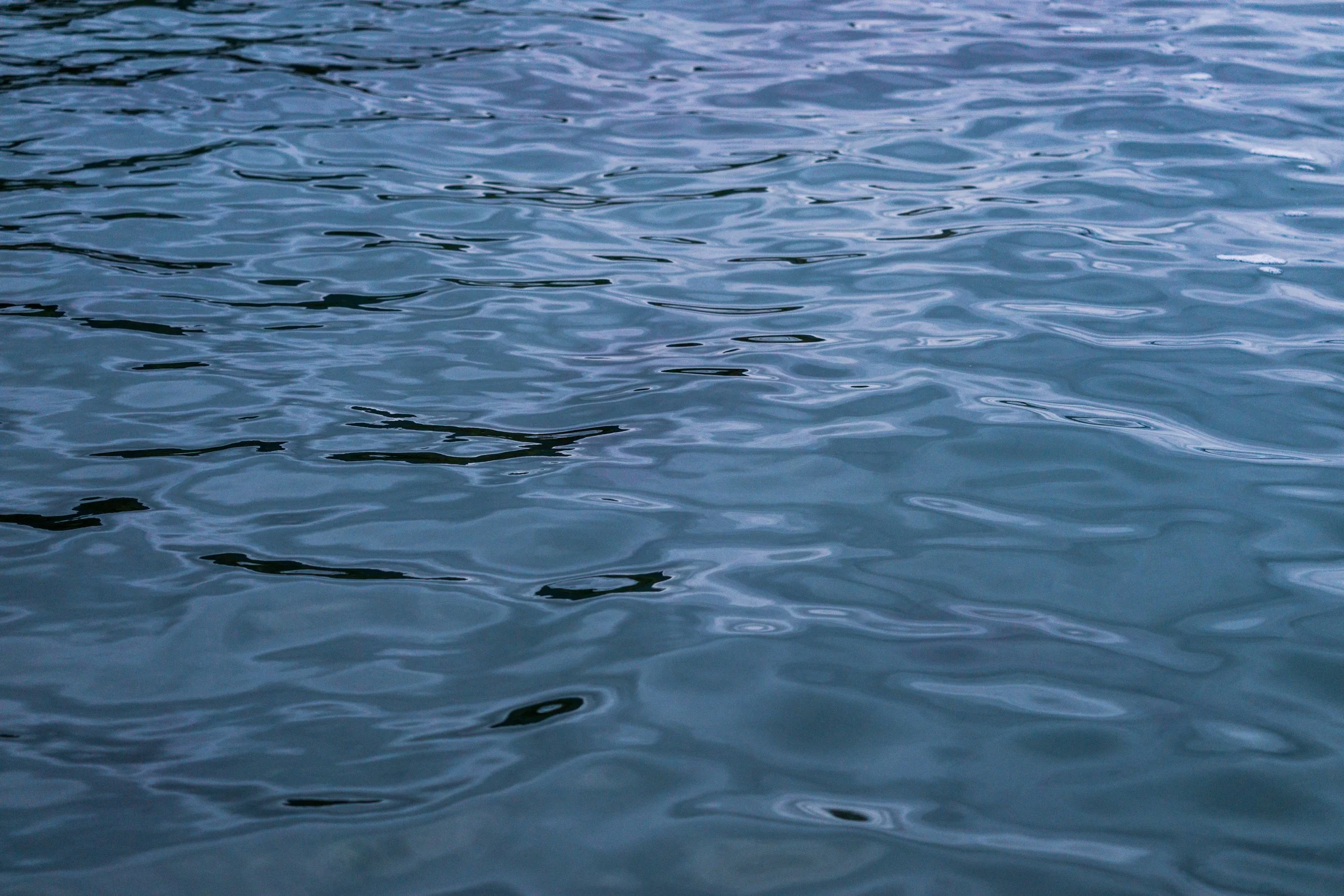 Coledale Re-visit 18-03-2026 Site.jpg