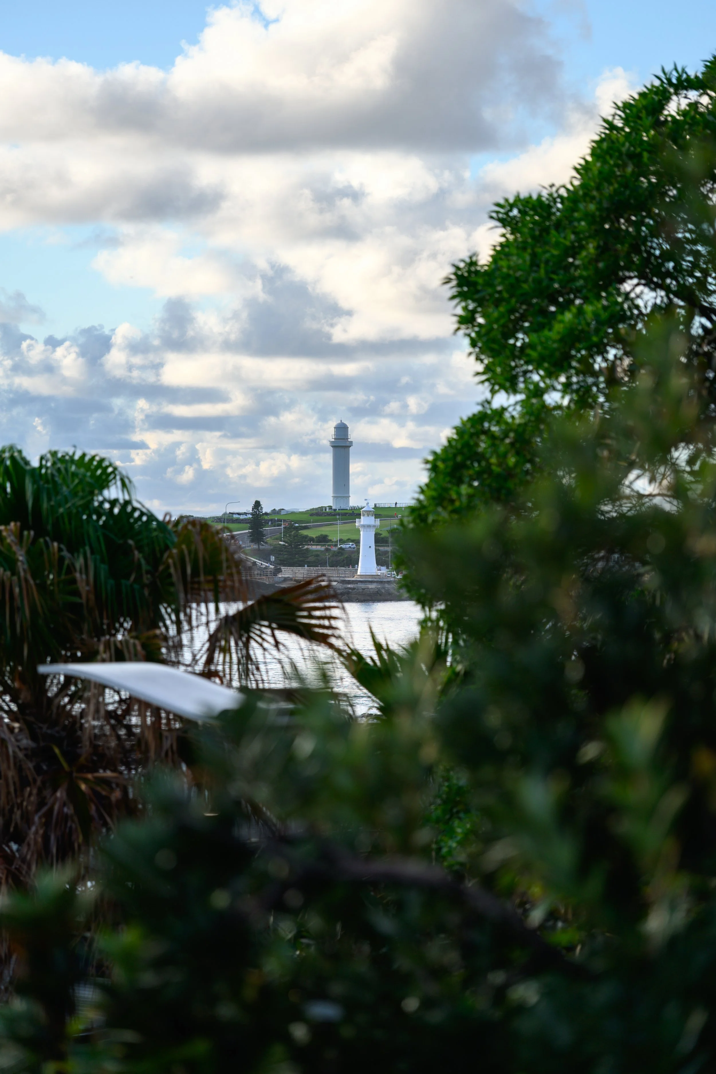 Harbour Walk 22-03-2026-19.jpg