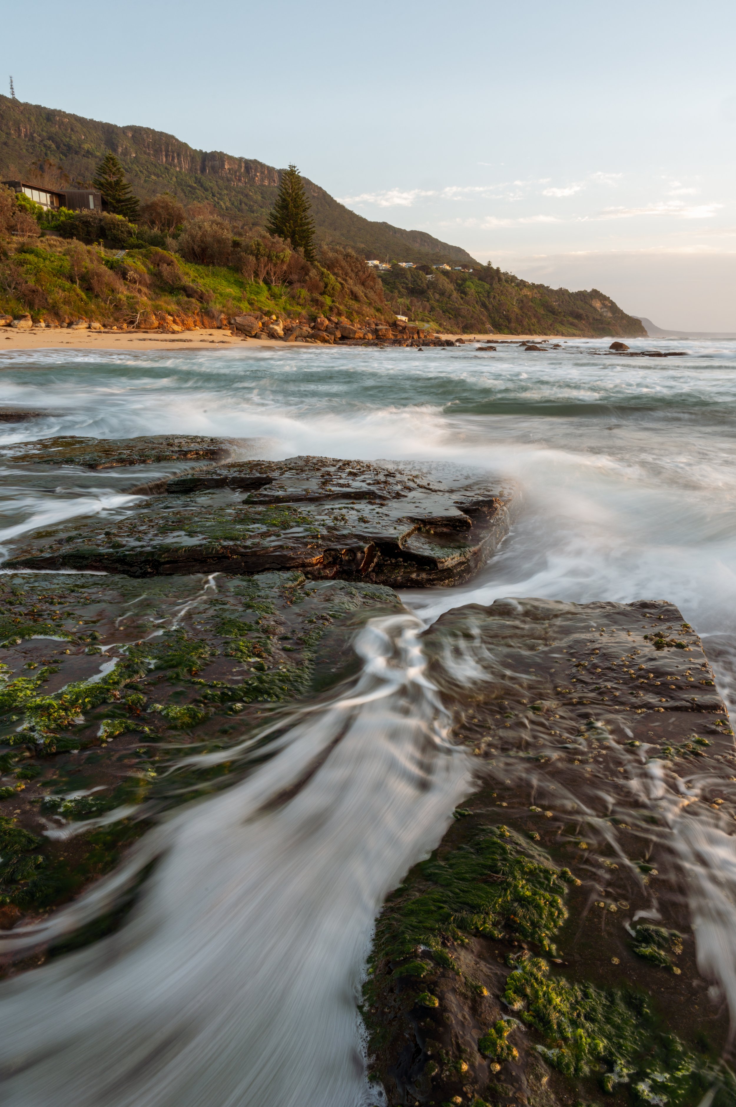 WombarraSelection-5.jpg