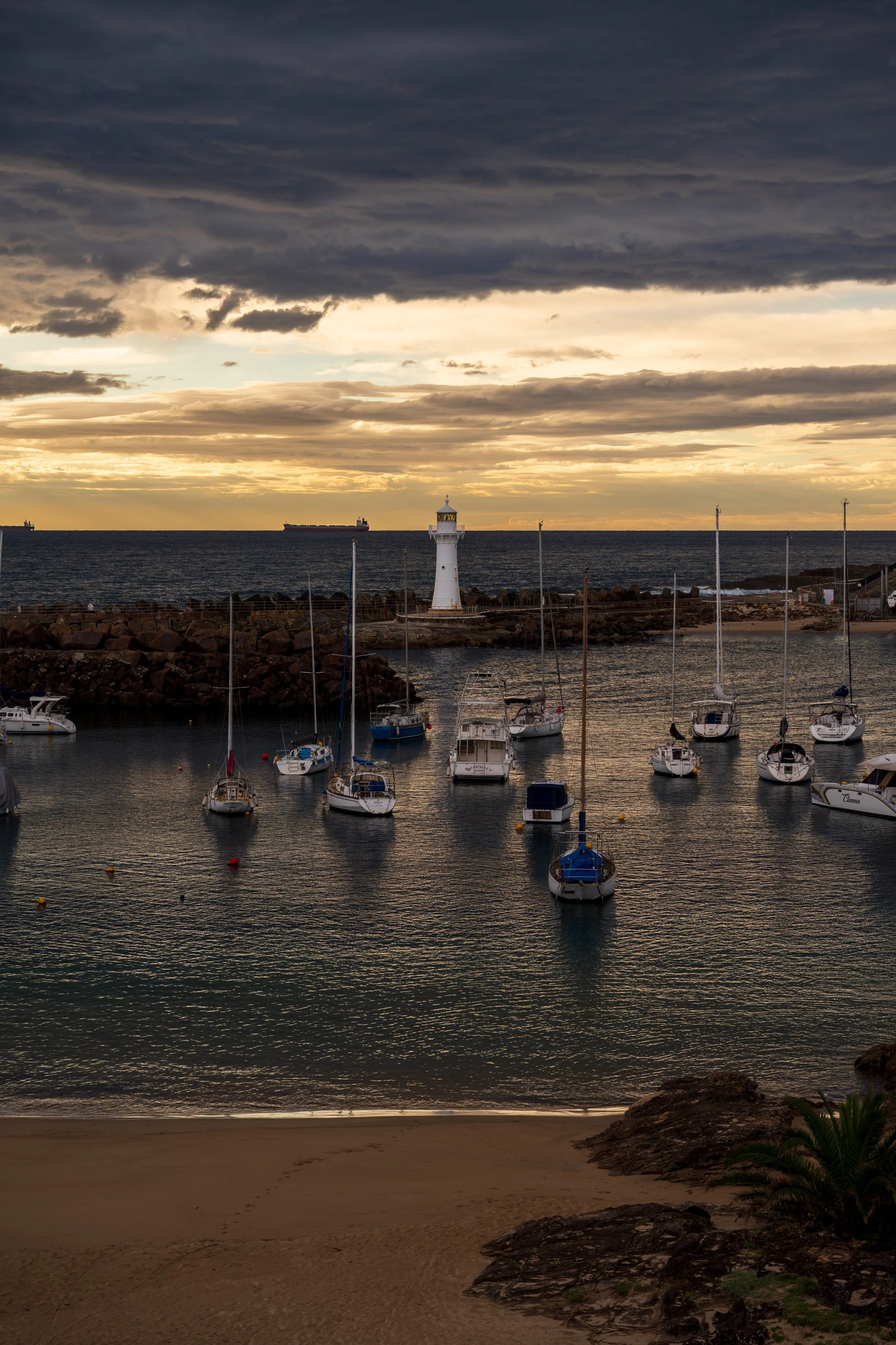 Harbour Walk 02-06-2026-32.jpg