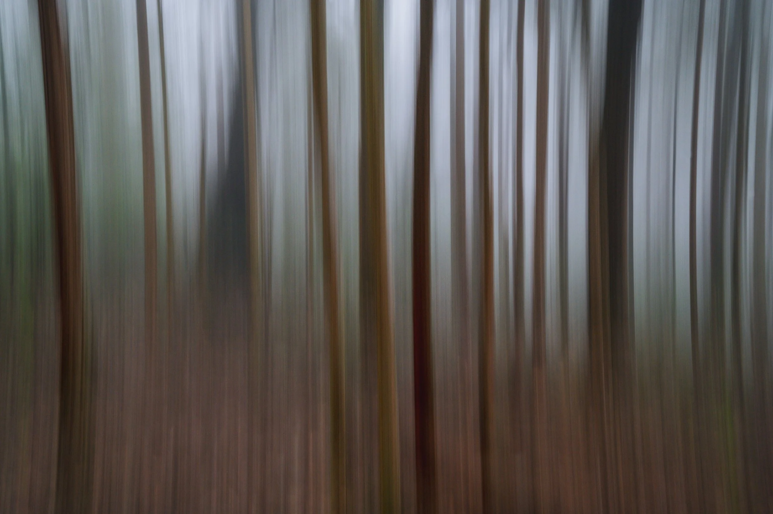 ICM14.jpg