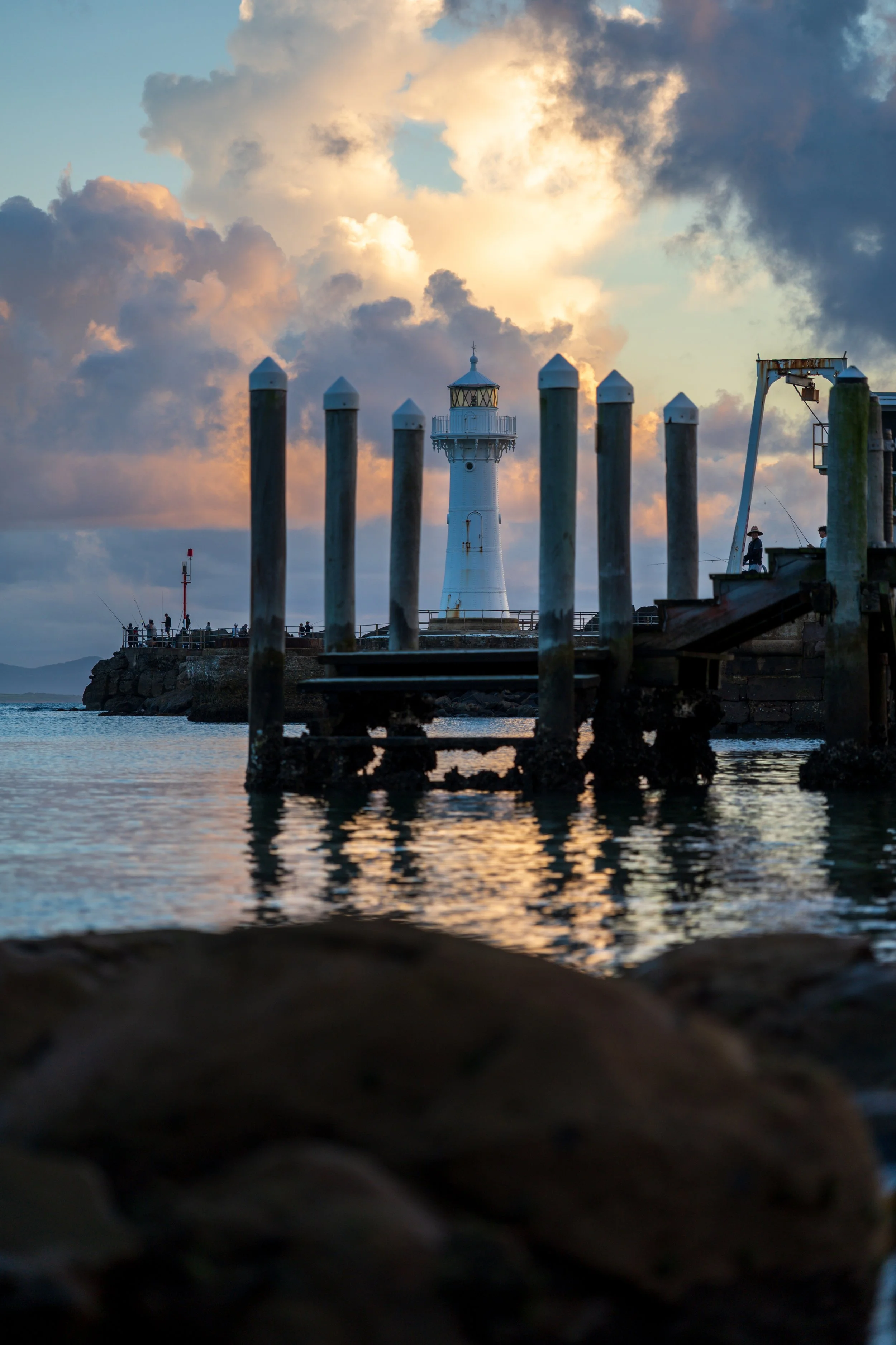 Harbour Walk 22-03-2026-11.jpg