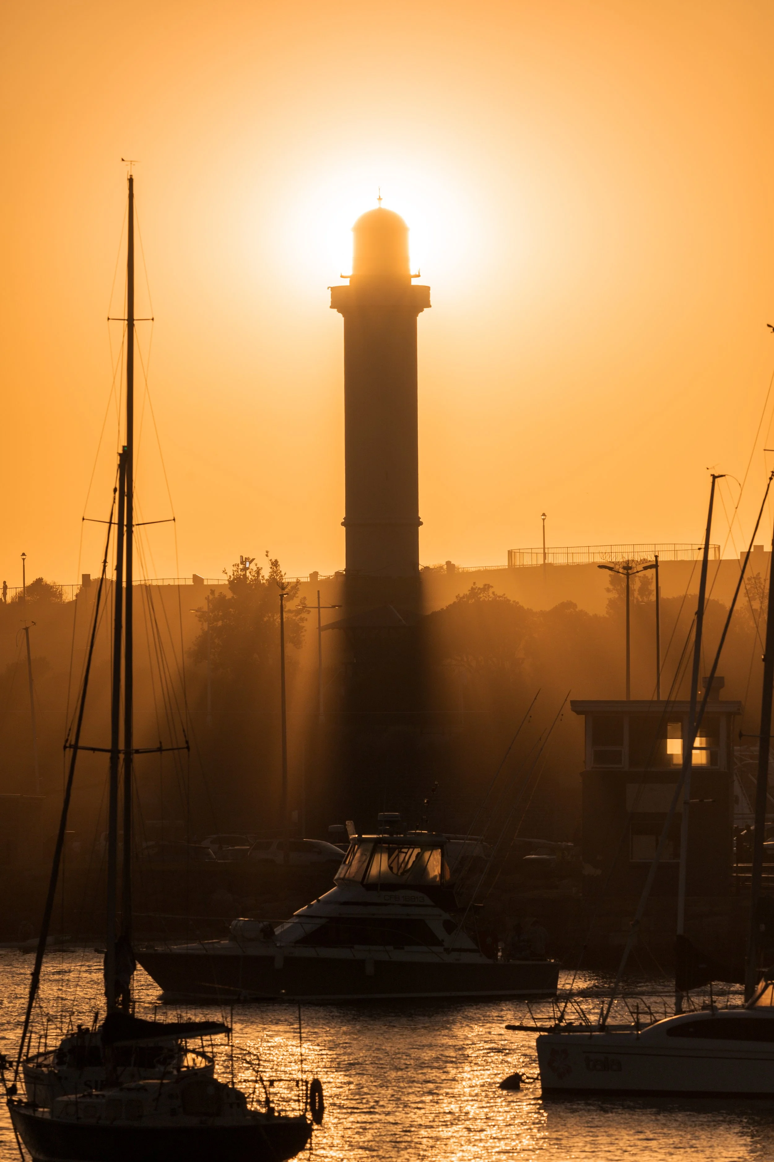 Harbour Glowing 19-12-2025-6.jpg