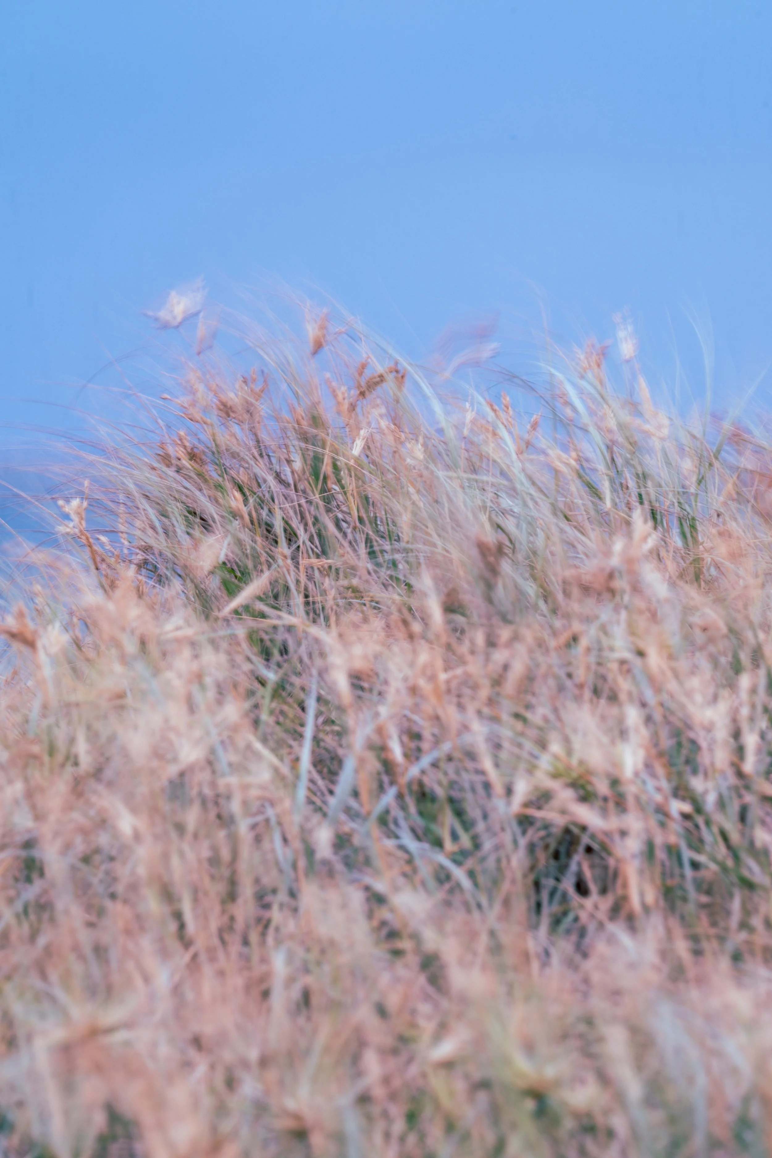 Cold Moody Corrimal Beach 26-10-26-11.jpg