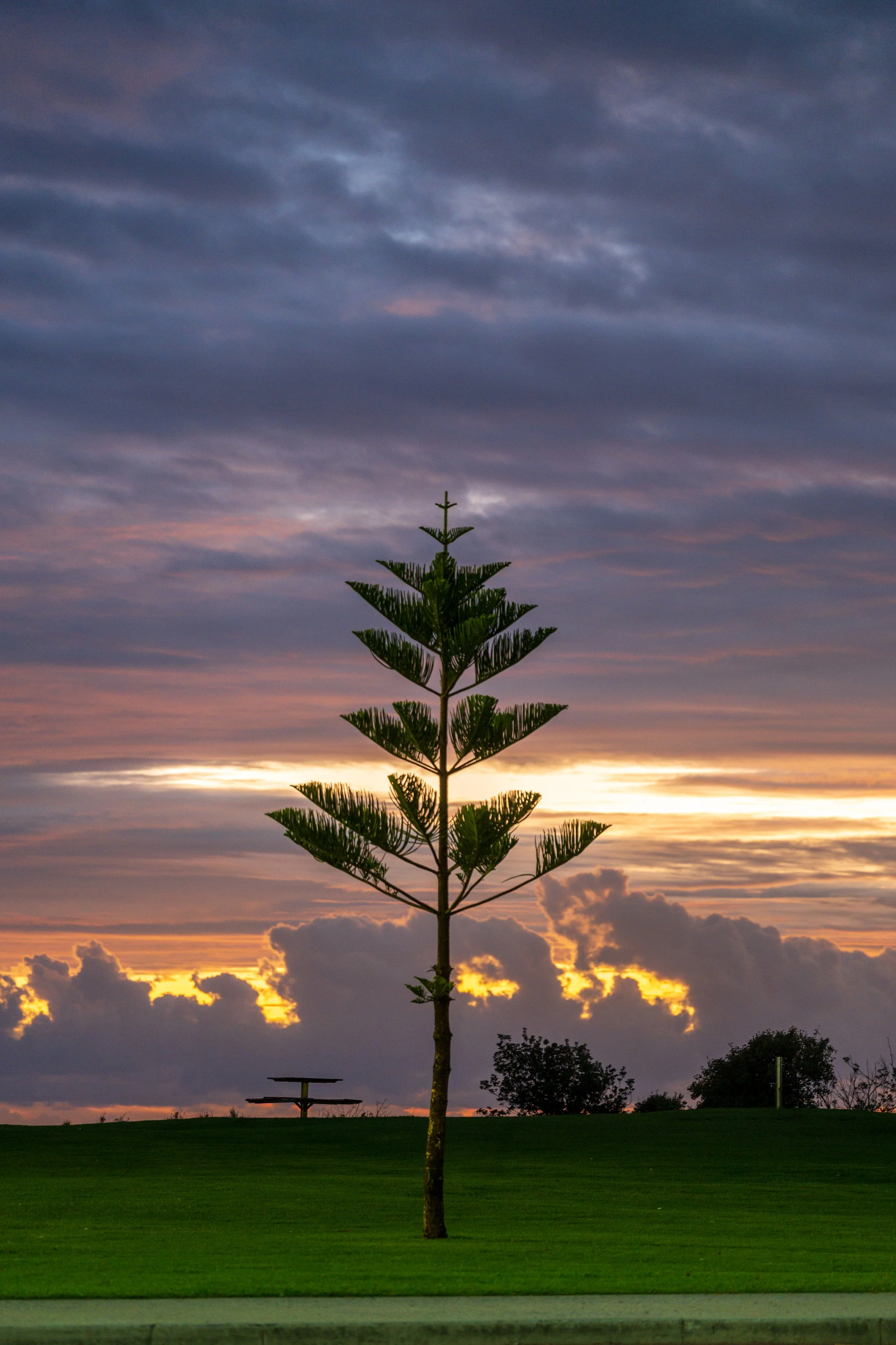 North Beach Stroll 02-03-2026-5.jpg