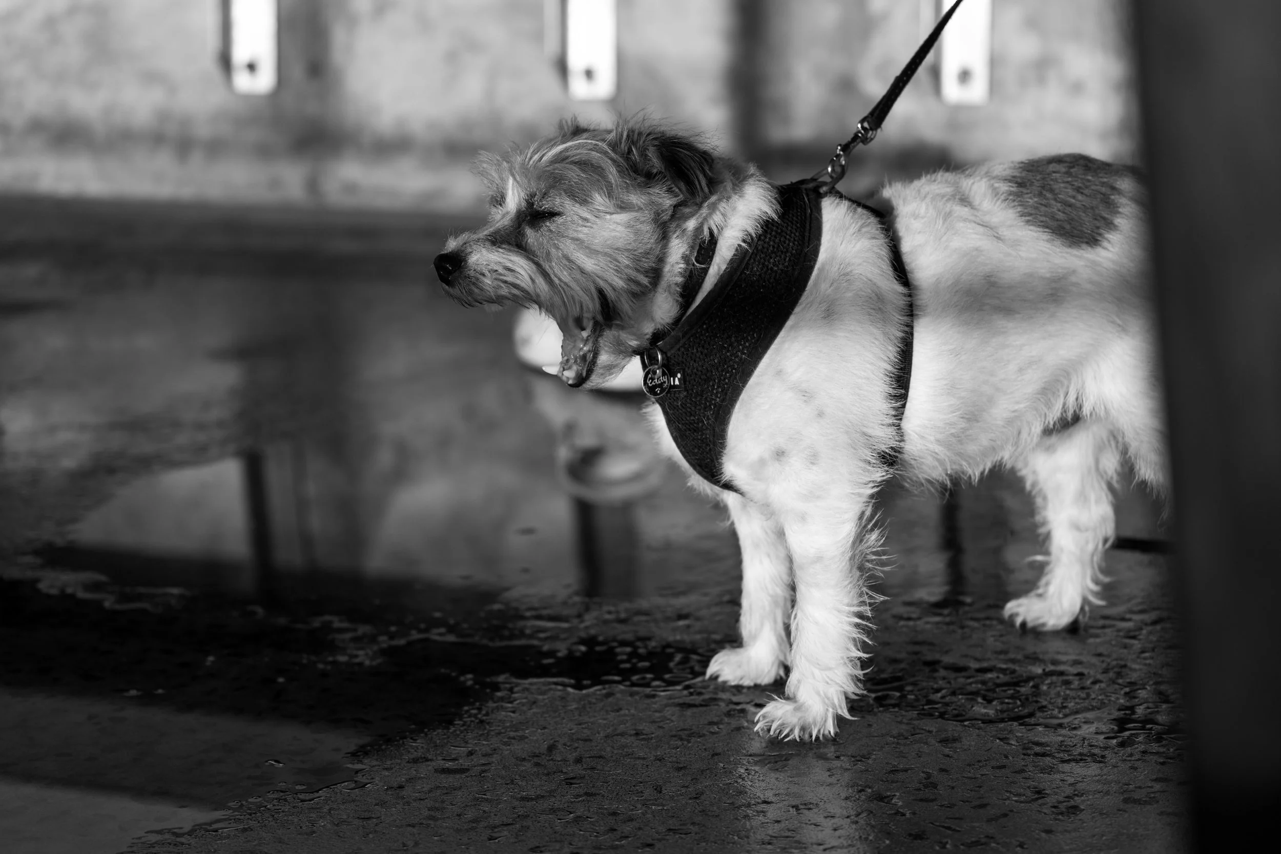 Coalcliff Swell 29-03-2026-15.jpg