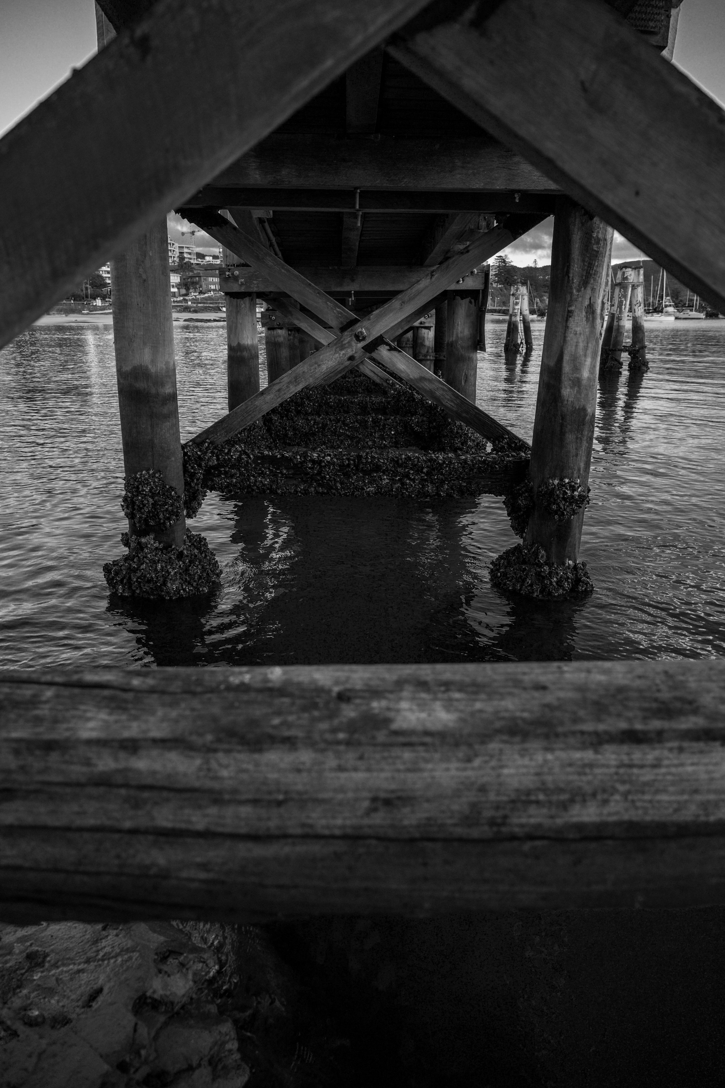 Harbour Walk 22-03-2026-14.jpg