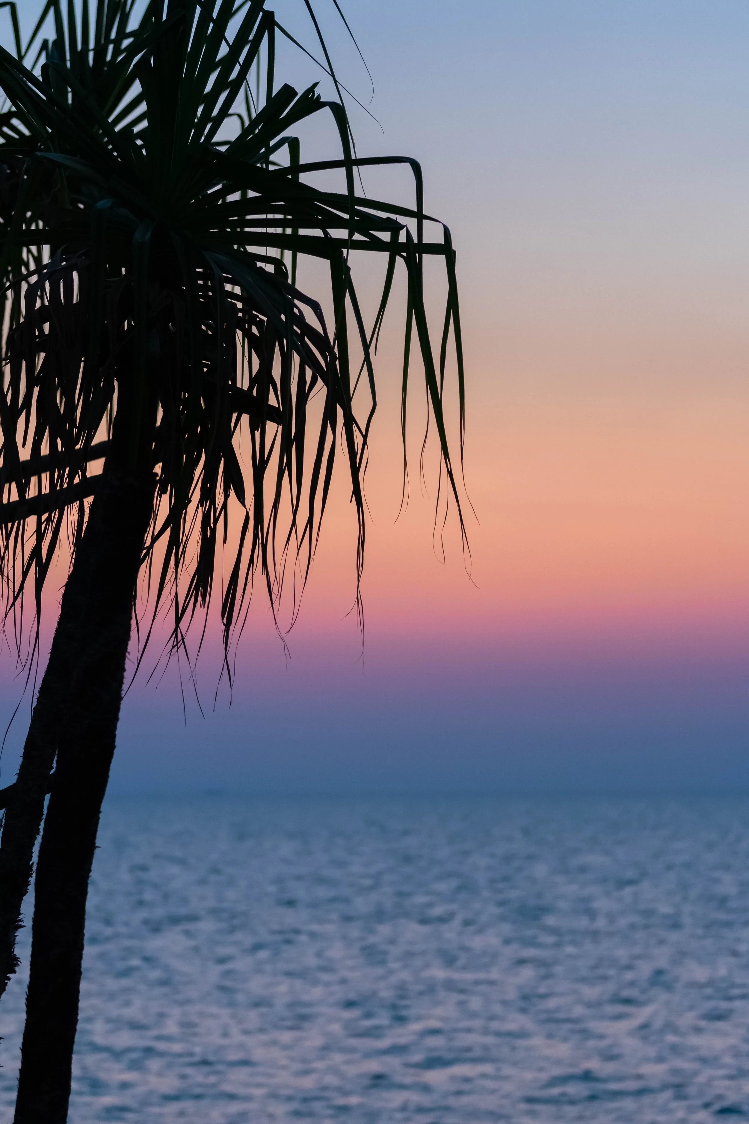 Nightcliff2.jpg