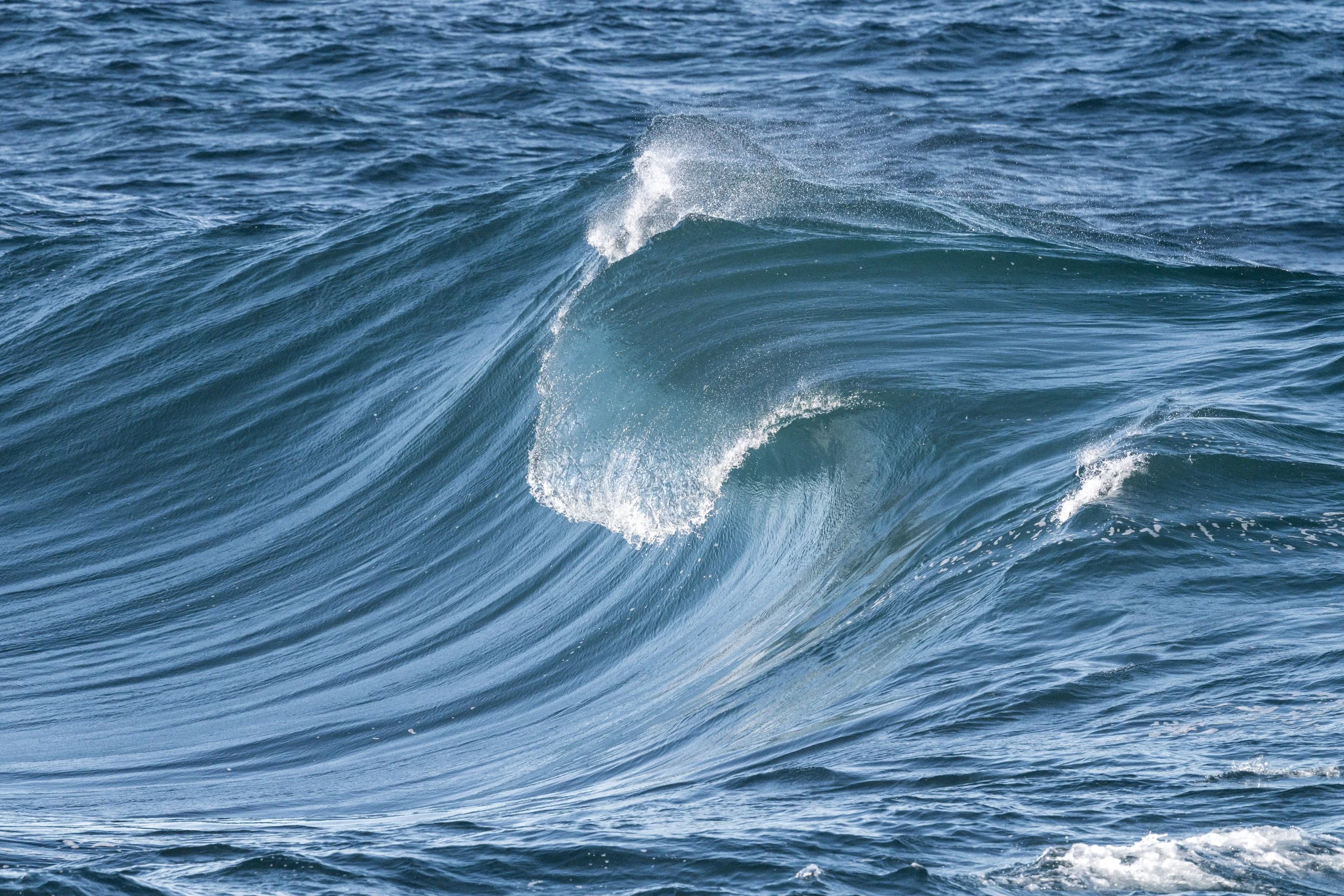 Wave Action 05-06-2026-13 Website.jpg