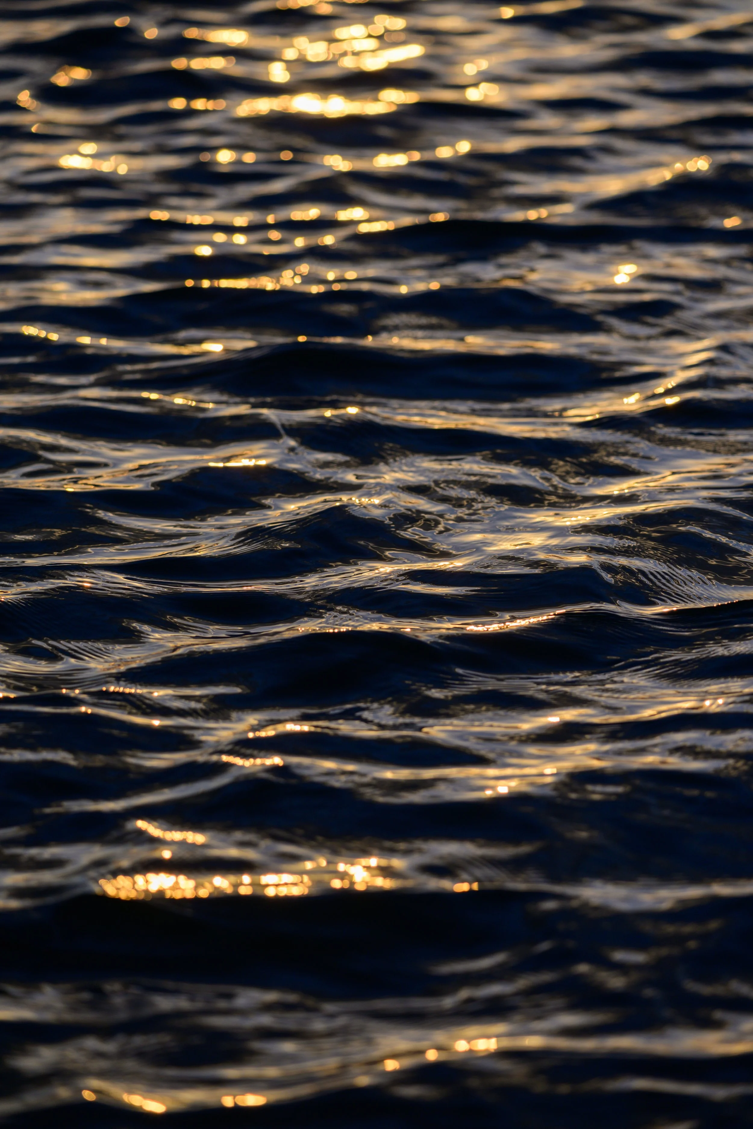 Wombarra Waters 03-09-26-17.jpg