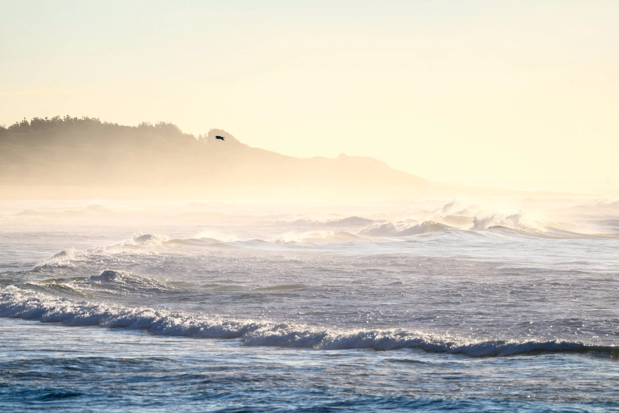Corrimal Beach 20-05-2026-34.jpg