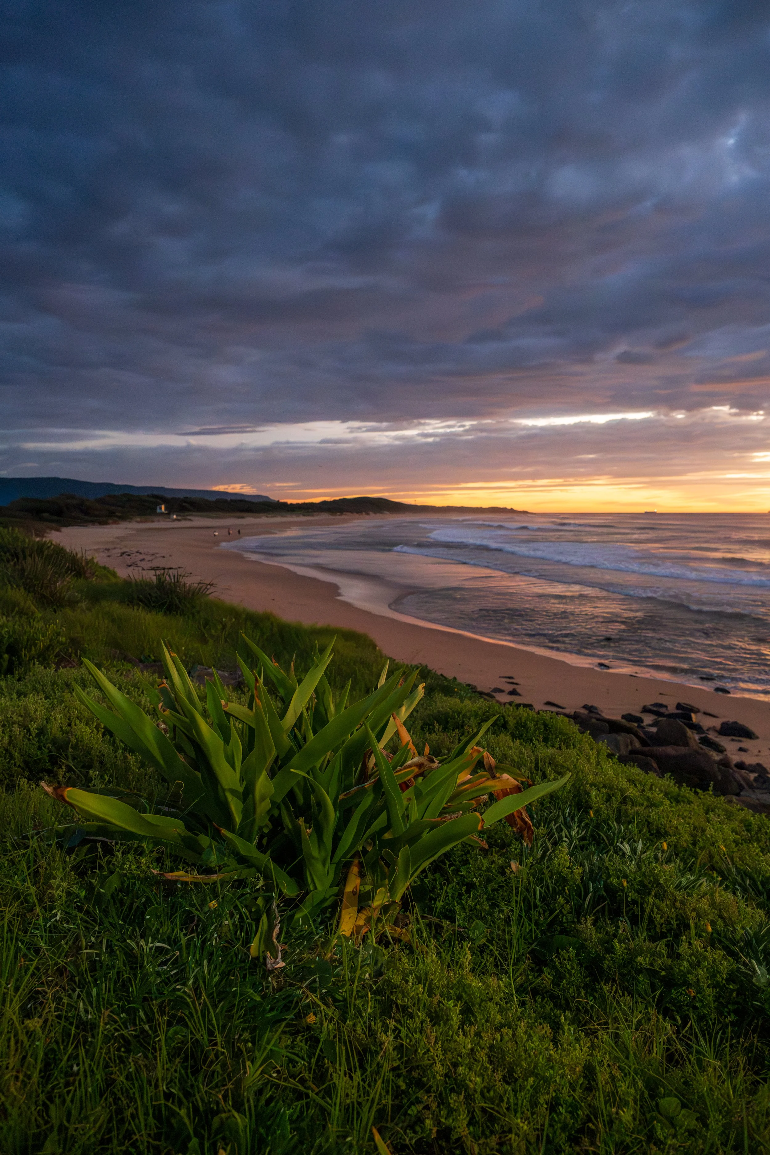 Corrimal stunner 10-04-2026-4.jpg