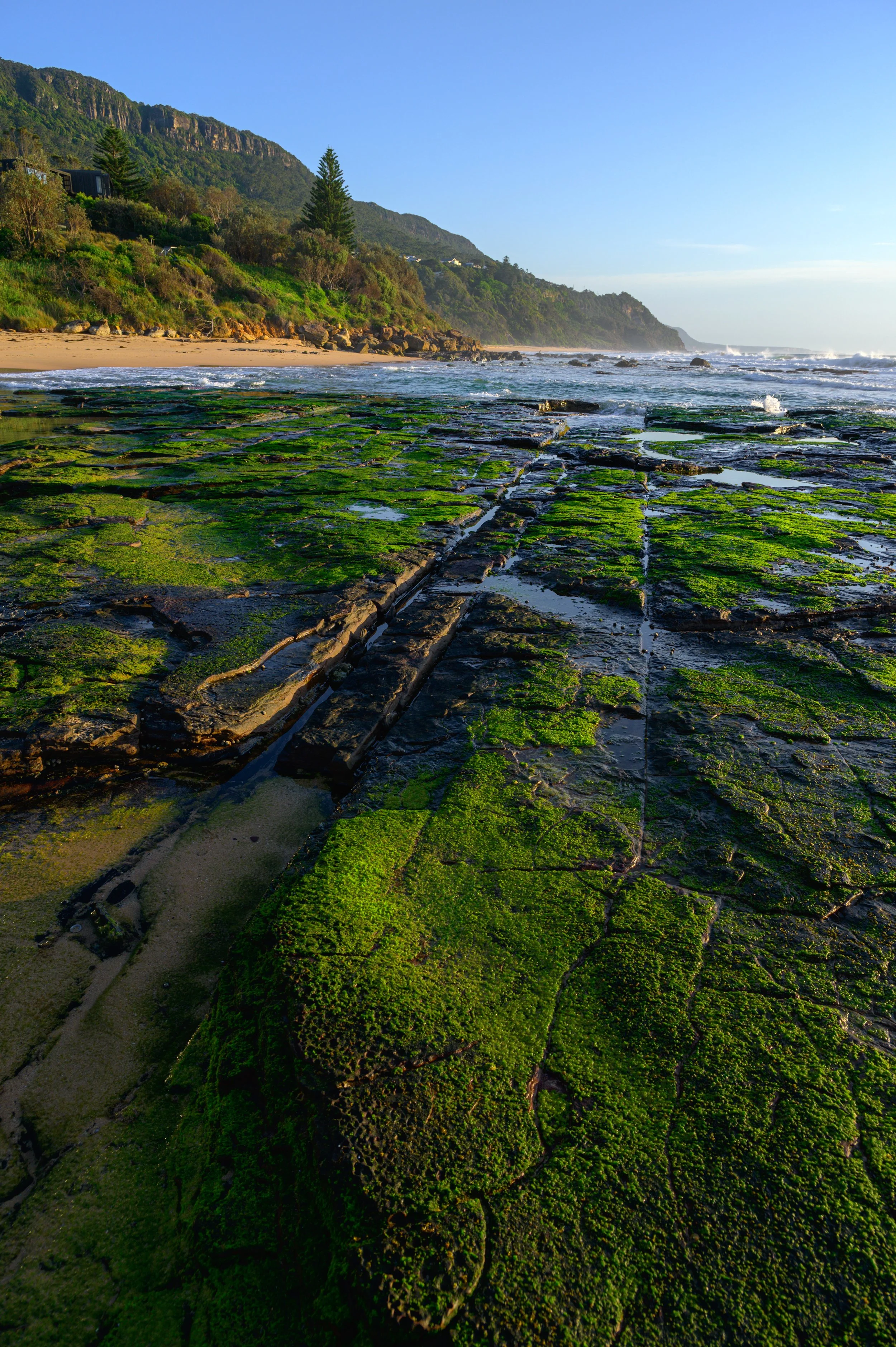 WombarraSelection-6.jpg