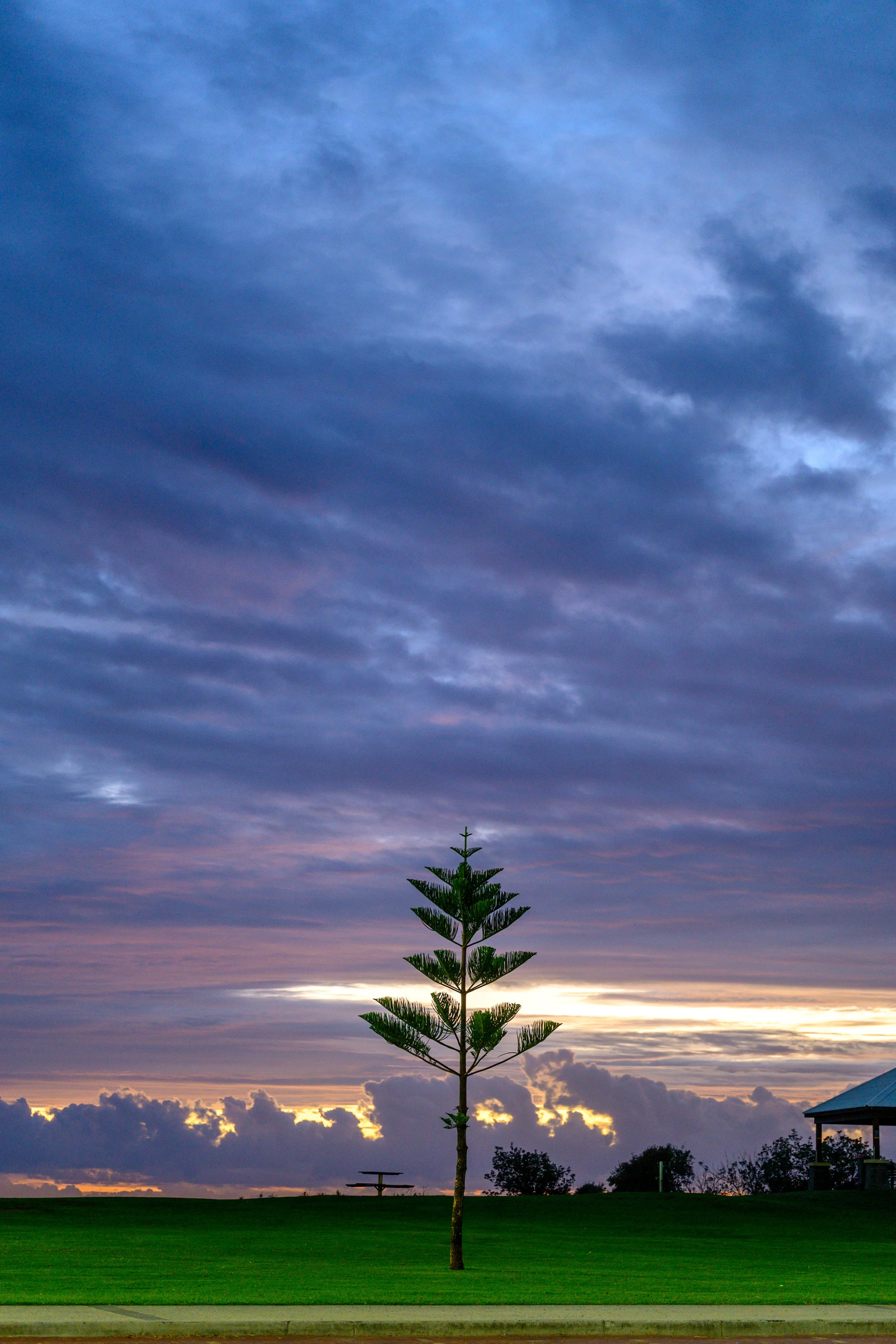 North Beach Stroll 02-03-2026-6.jpg