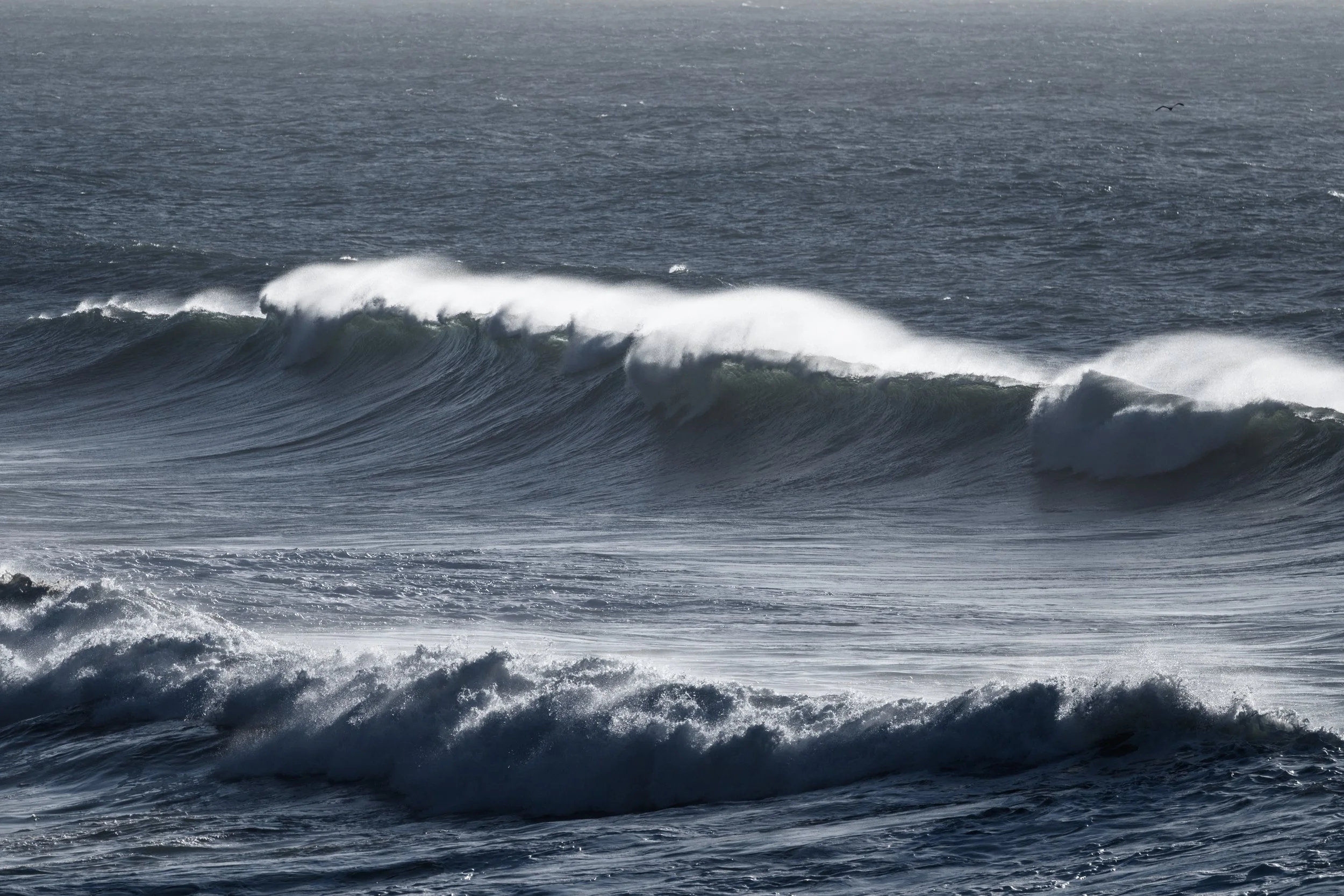 Seacliff Bridge Swell 29-03-2026.jpg