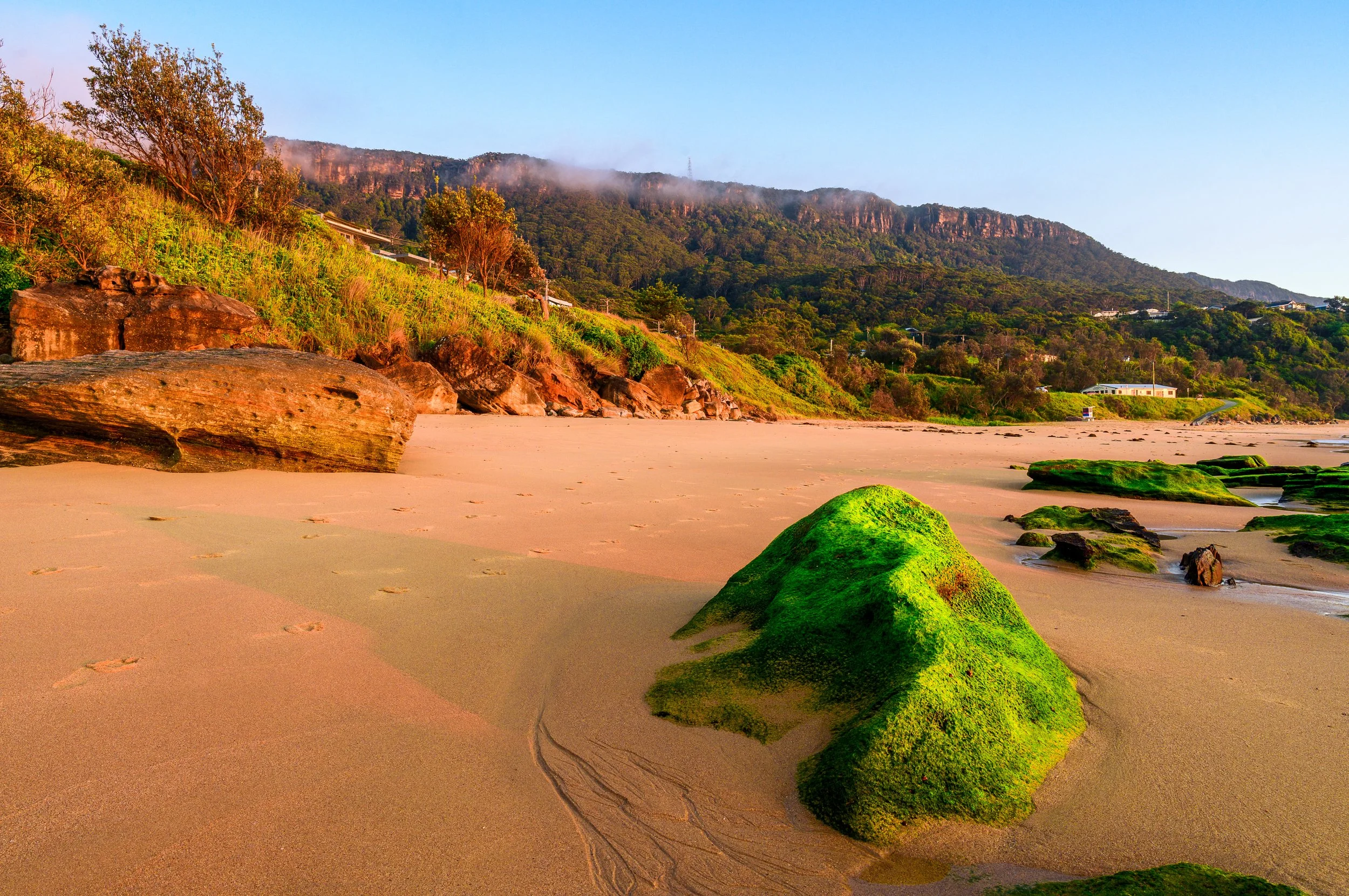 Wombarra Moss Rock.jpg