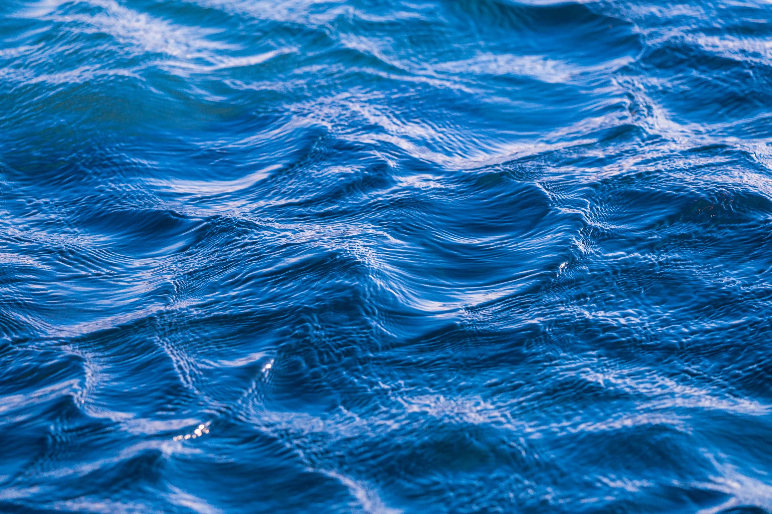 MM Beach 28-01-2026 14 Website.jpg