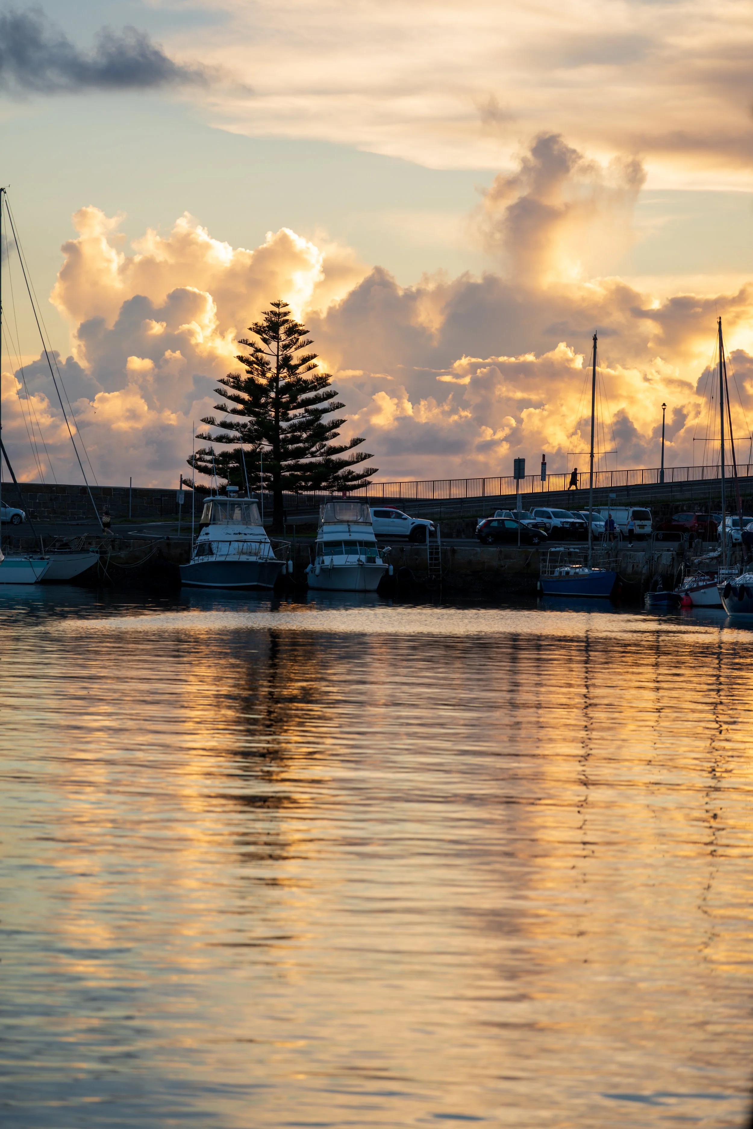 Harbour Walk 22-03-2026-12.jpg