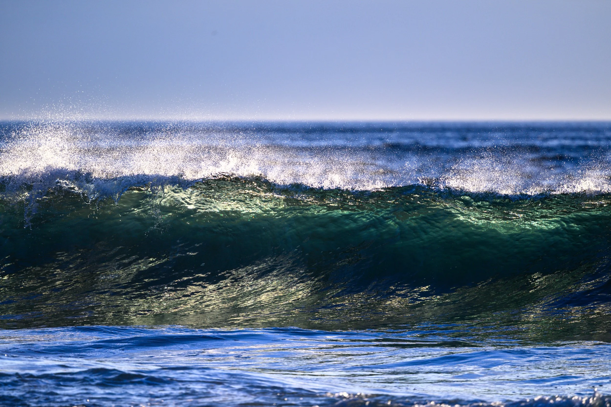 Wombarra Waters 03-09-26-26.jpg