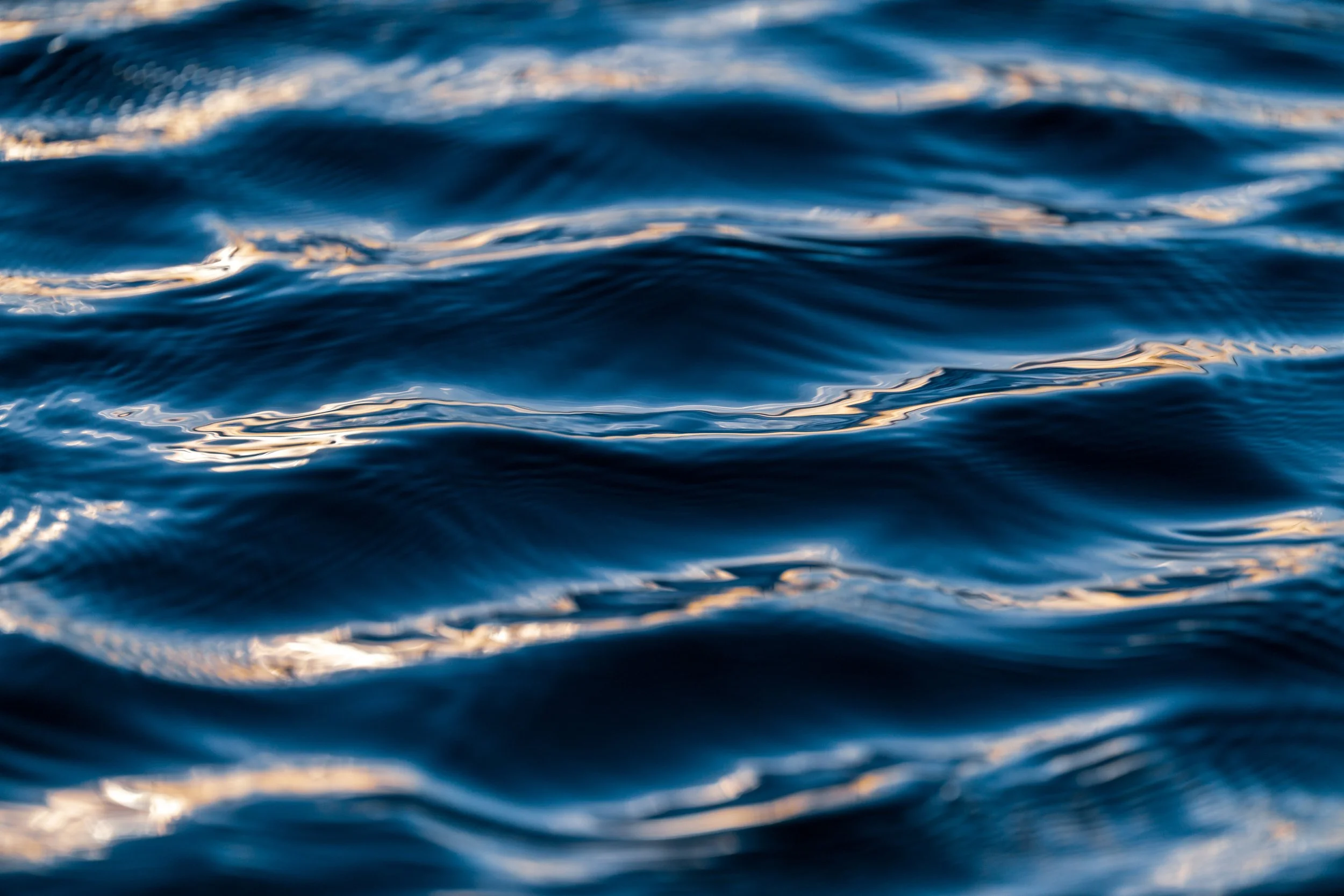 Wombarra Waters 03-09-26-31.jpg