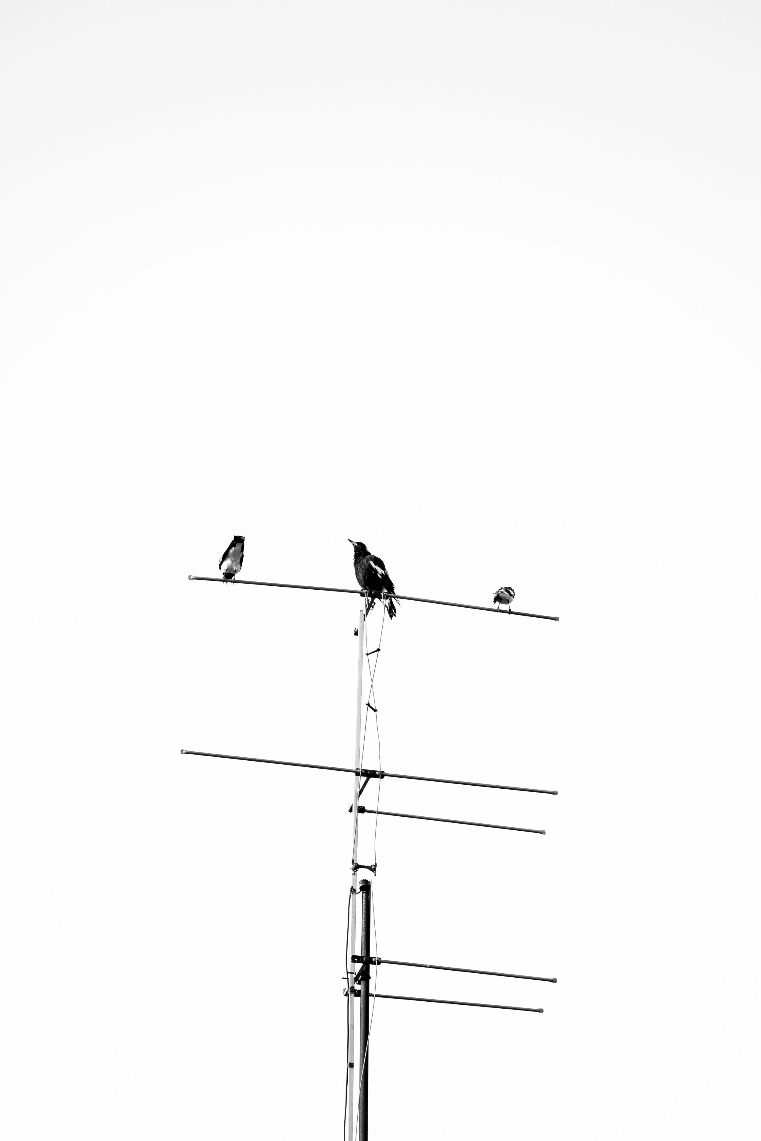 North Gong 29-01-2026-21.jpg