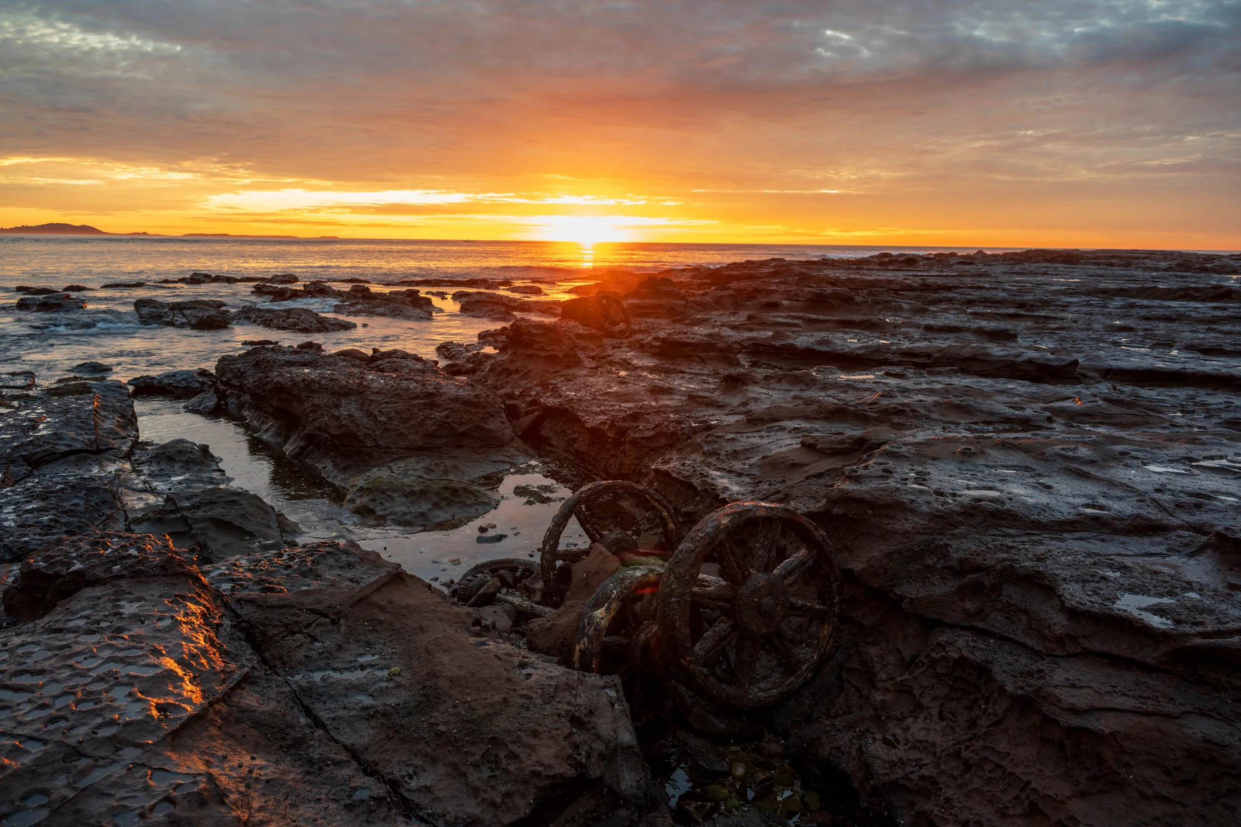 Incredible Windang Island 17-06-2026-17.jpg