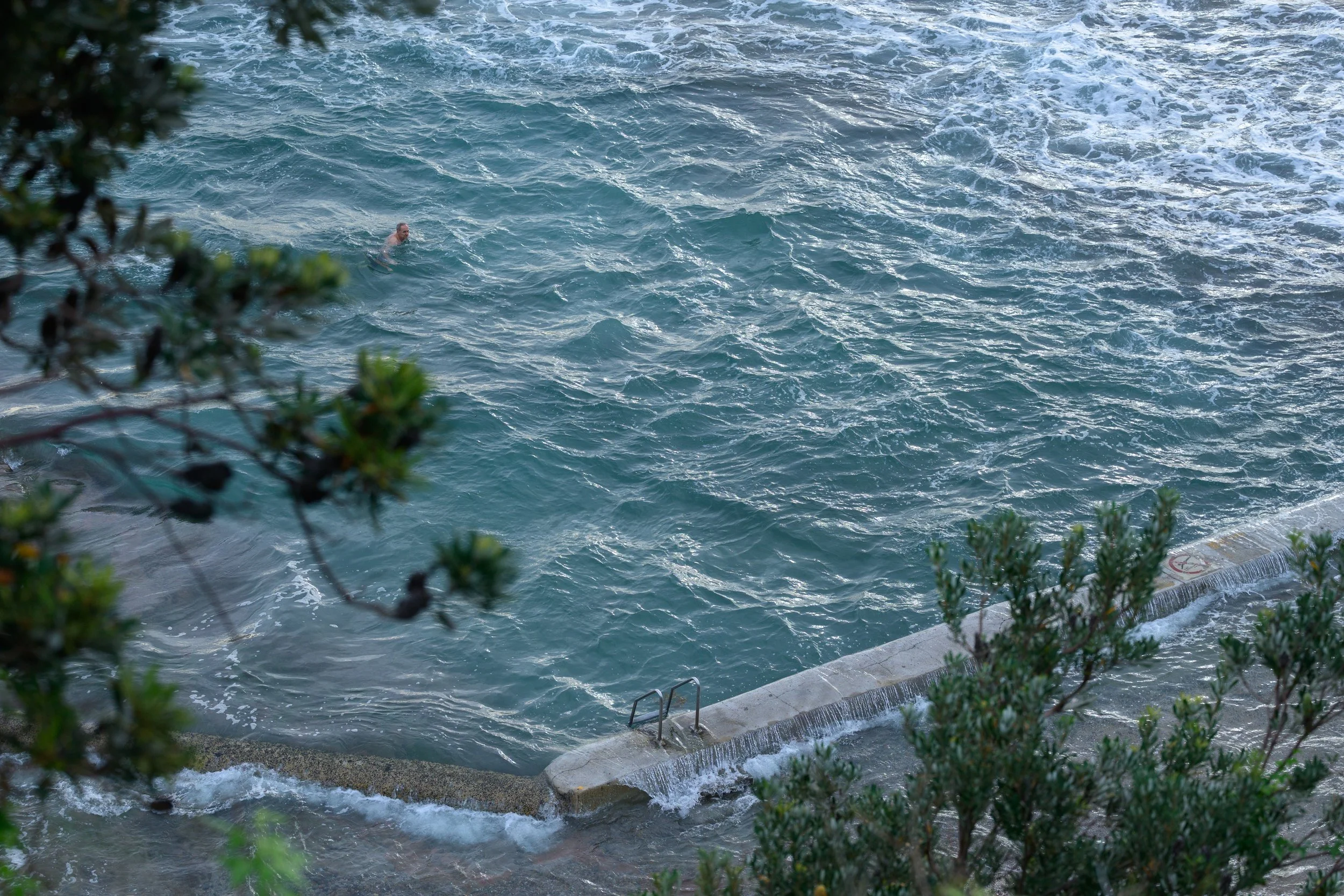 North Beach Stroll 02-03-2026-26.jpg