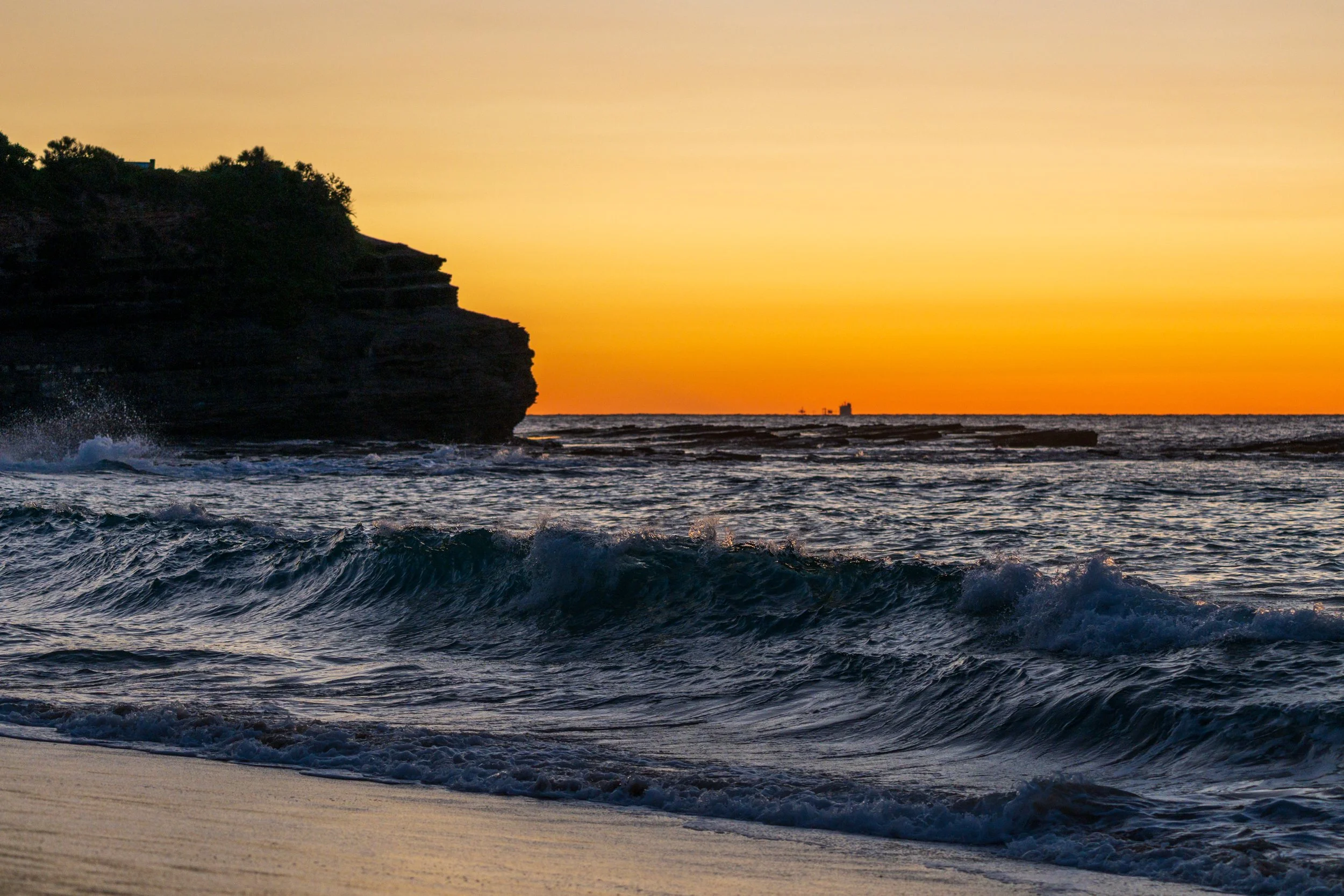 Glowing Austinmer 29-07-2026-16.jpg