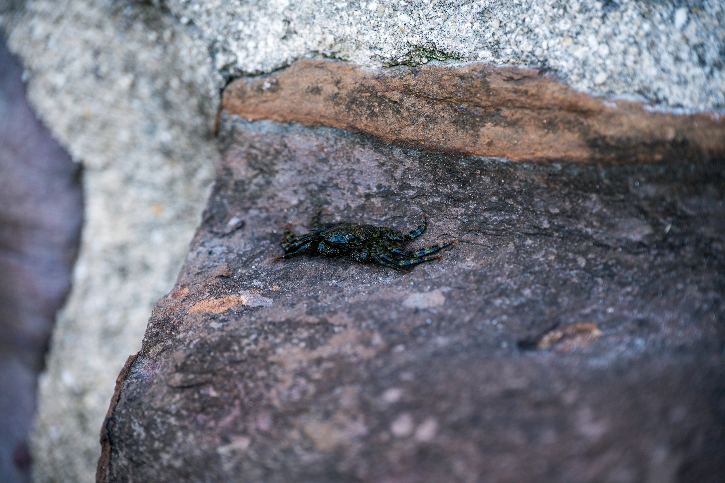 Harbour Walk 22-03-2026-16.jpg