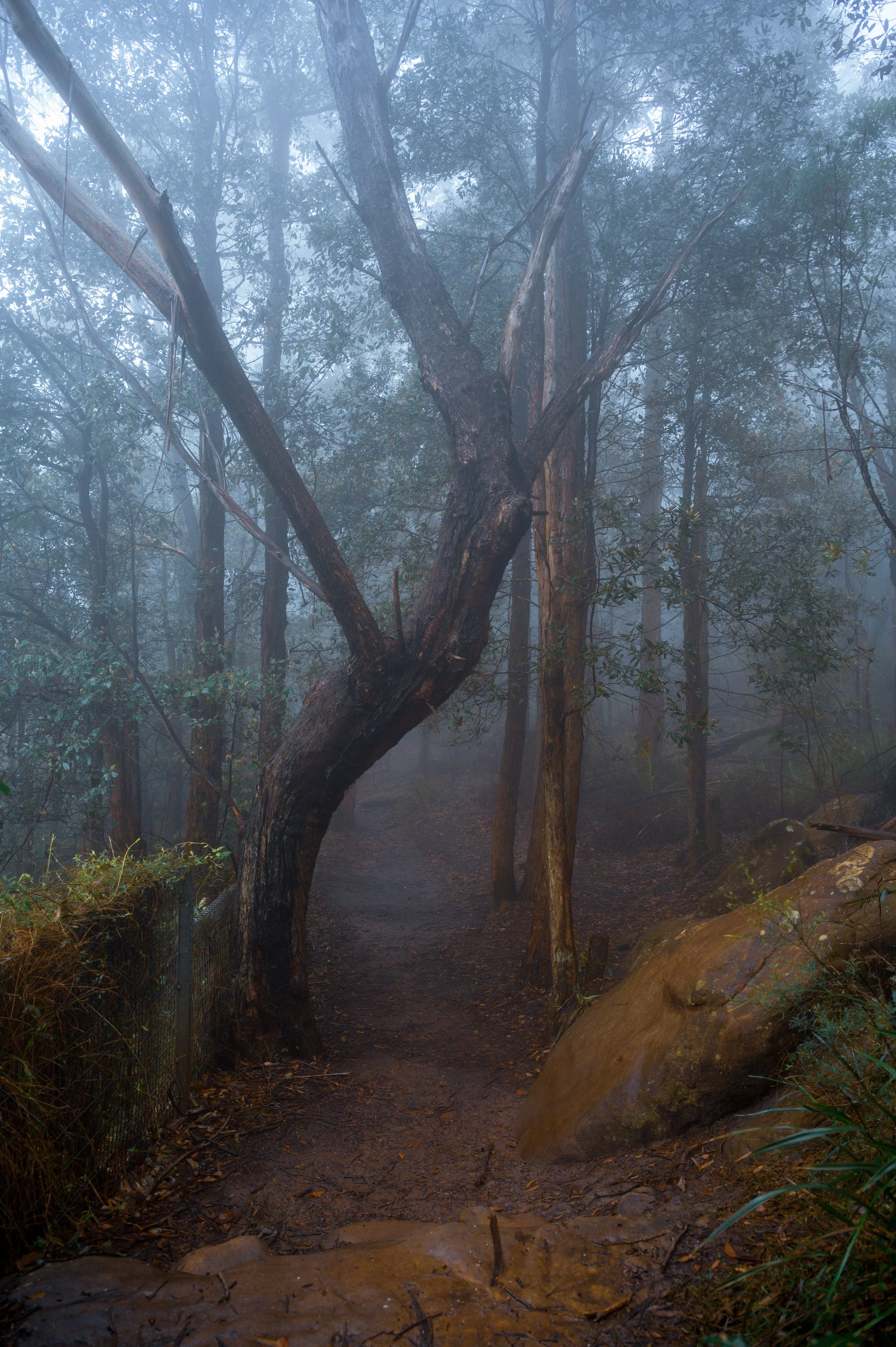 Mtns4.jpg