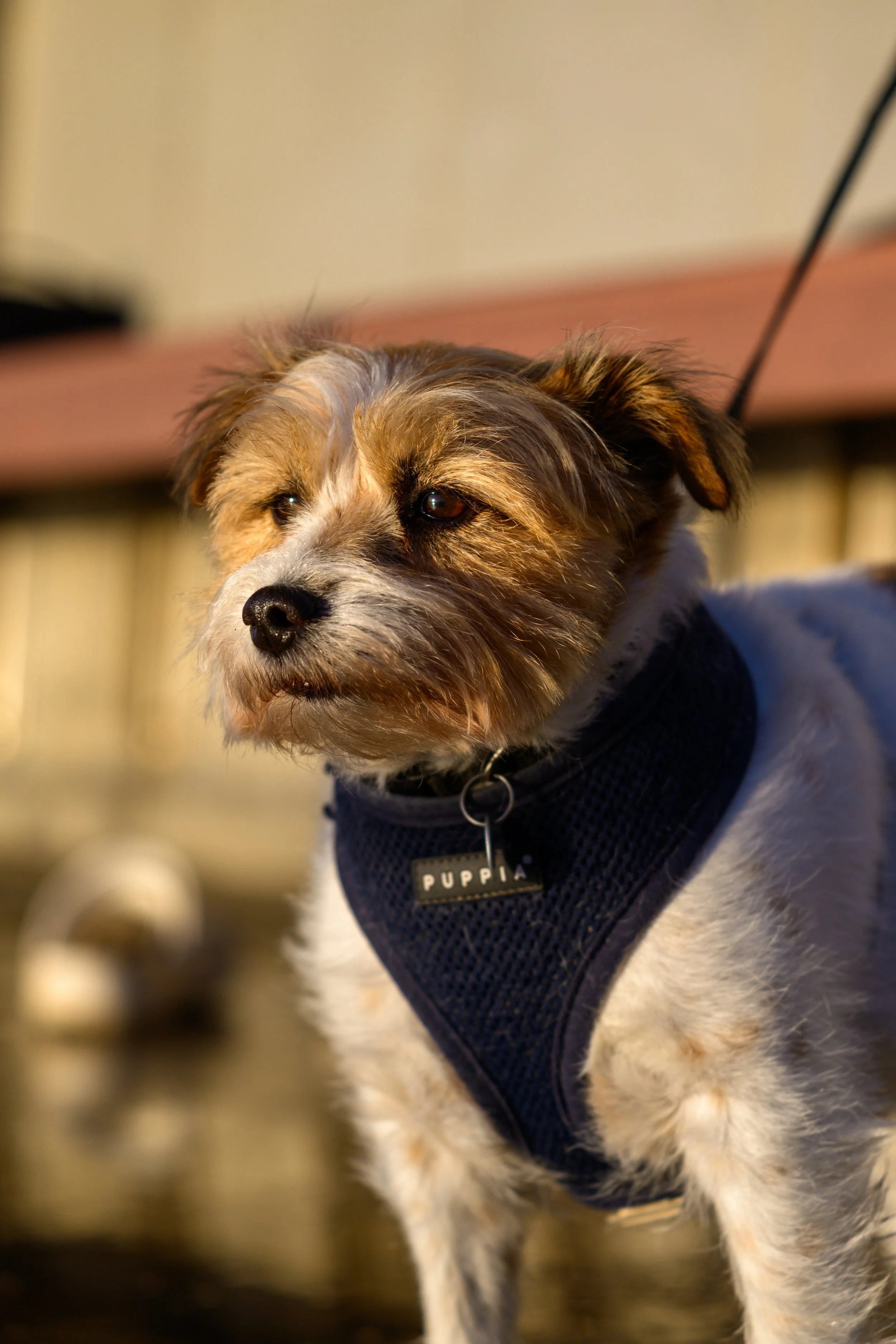 Coalcliff Swell 29-03-2026-13.jpg