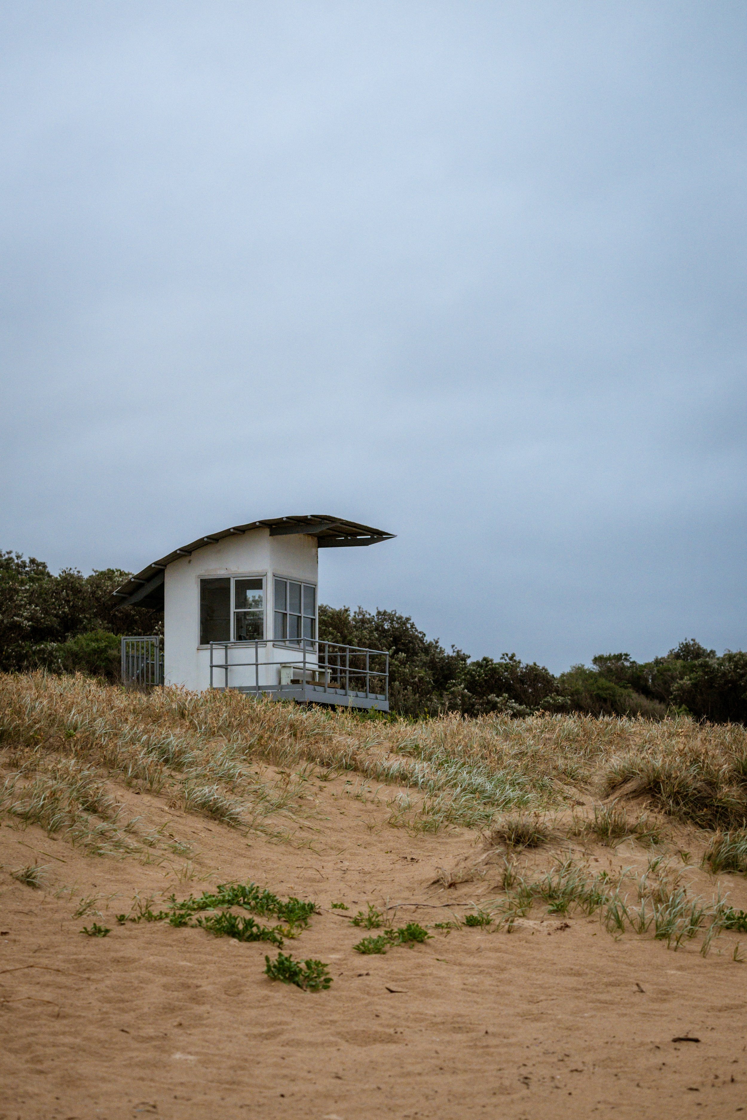 Cold Moody Corrimal Beach 26-10-26-4.jpg