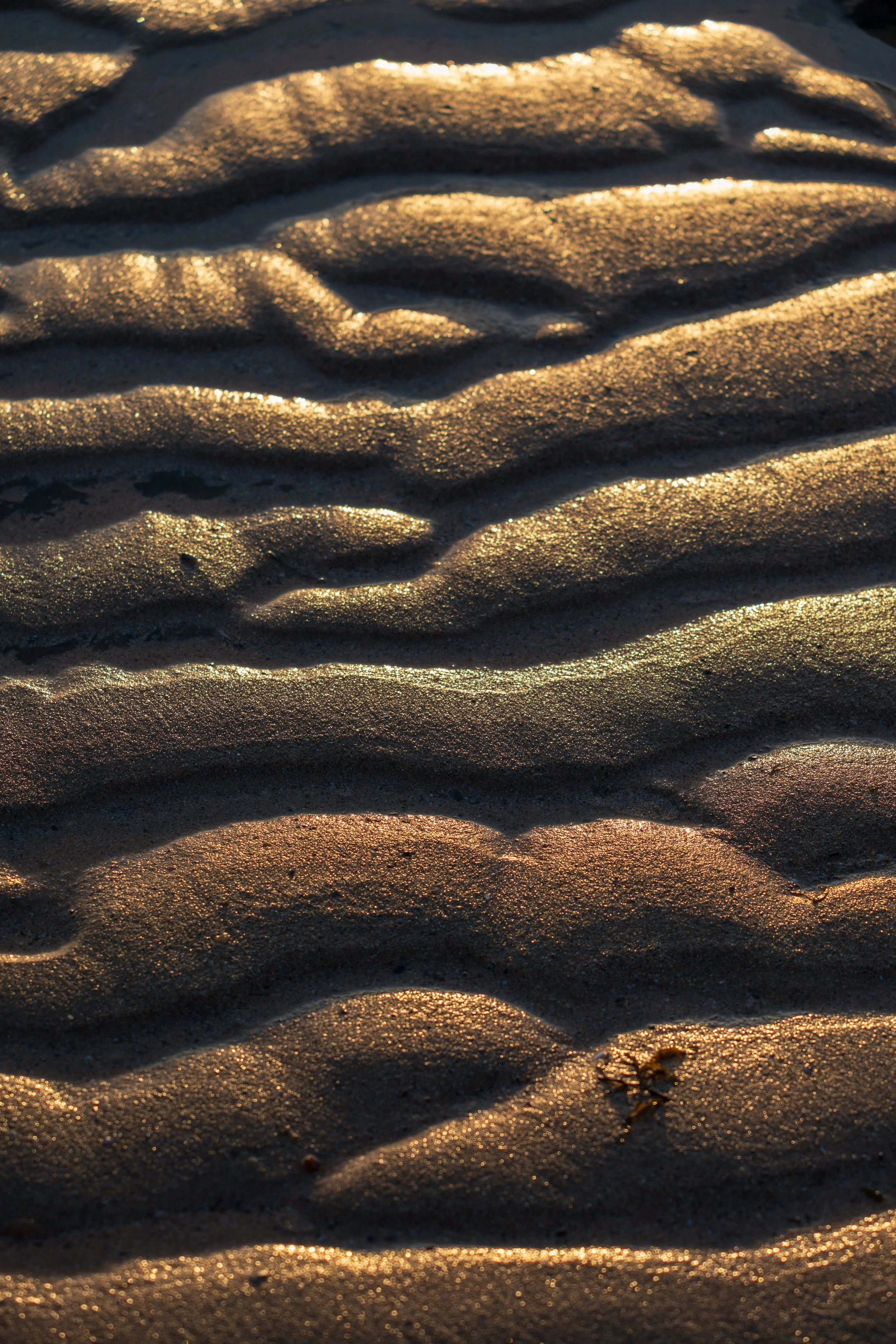 MM Beach 28-01-2026-16.jpg