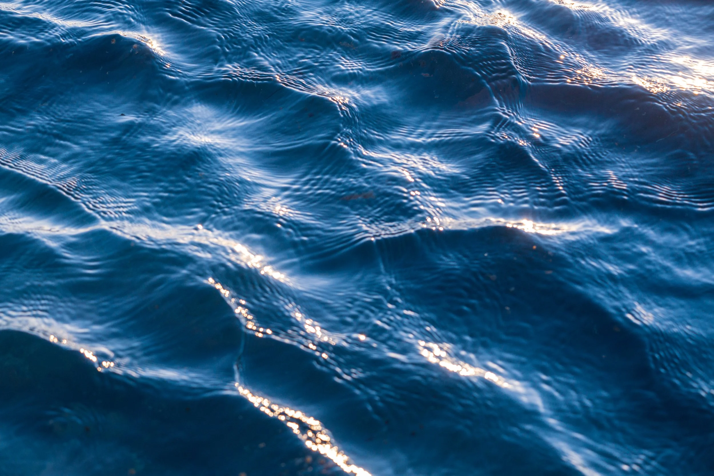 MM Beach 28-01-2026-15.jpg