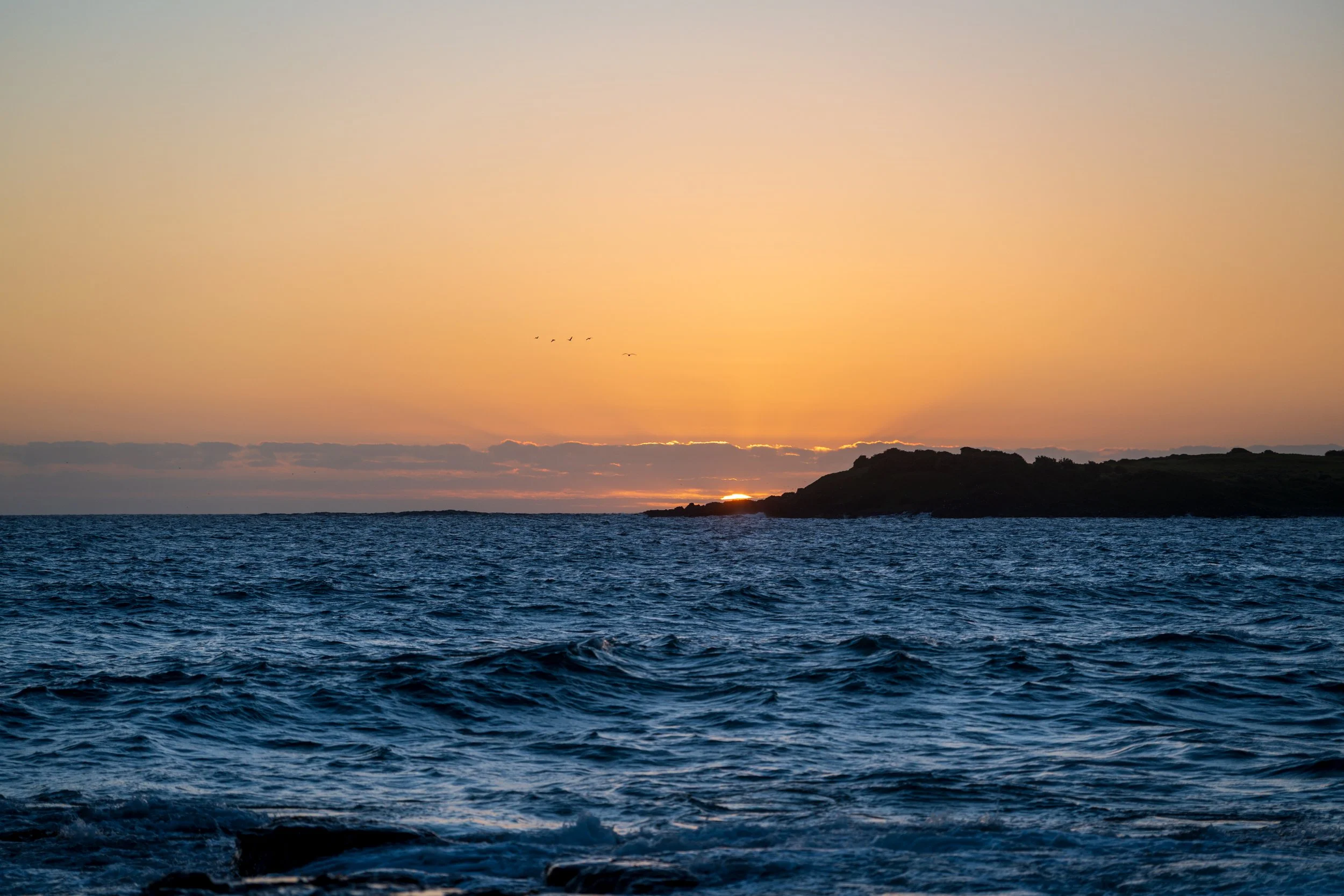 MM Beach 28-01-2026-9.jpg