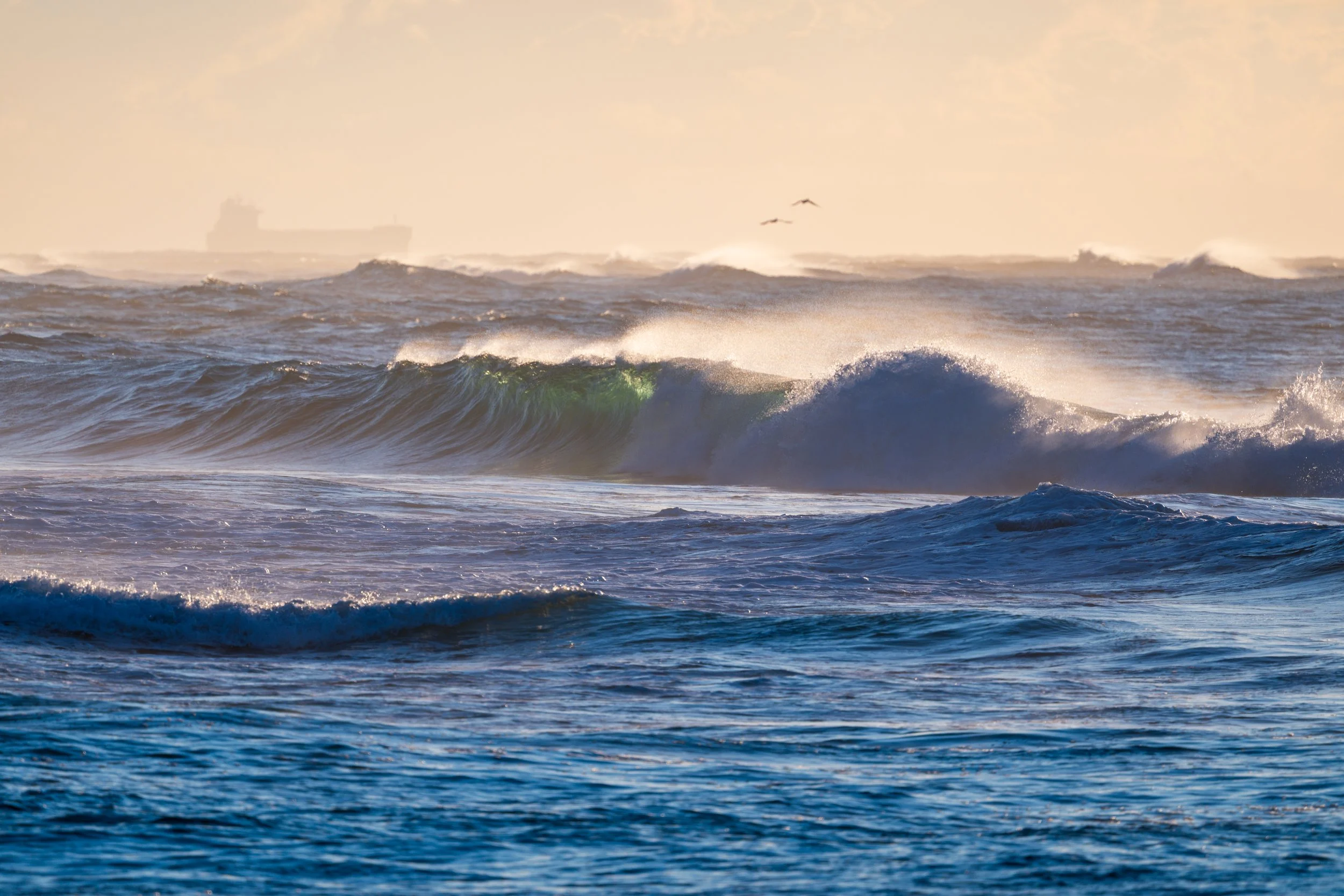 Corrimal Beach 20-05-2026-30.jpg