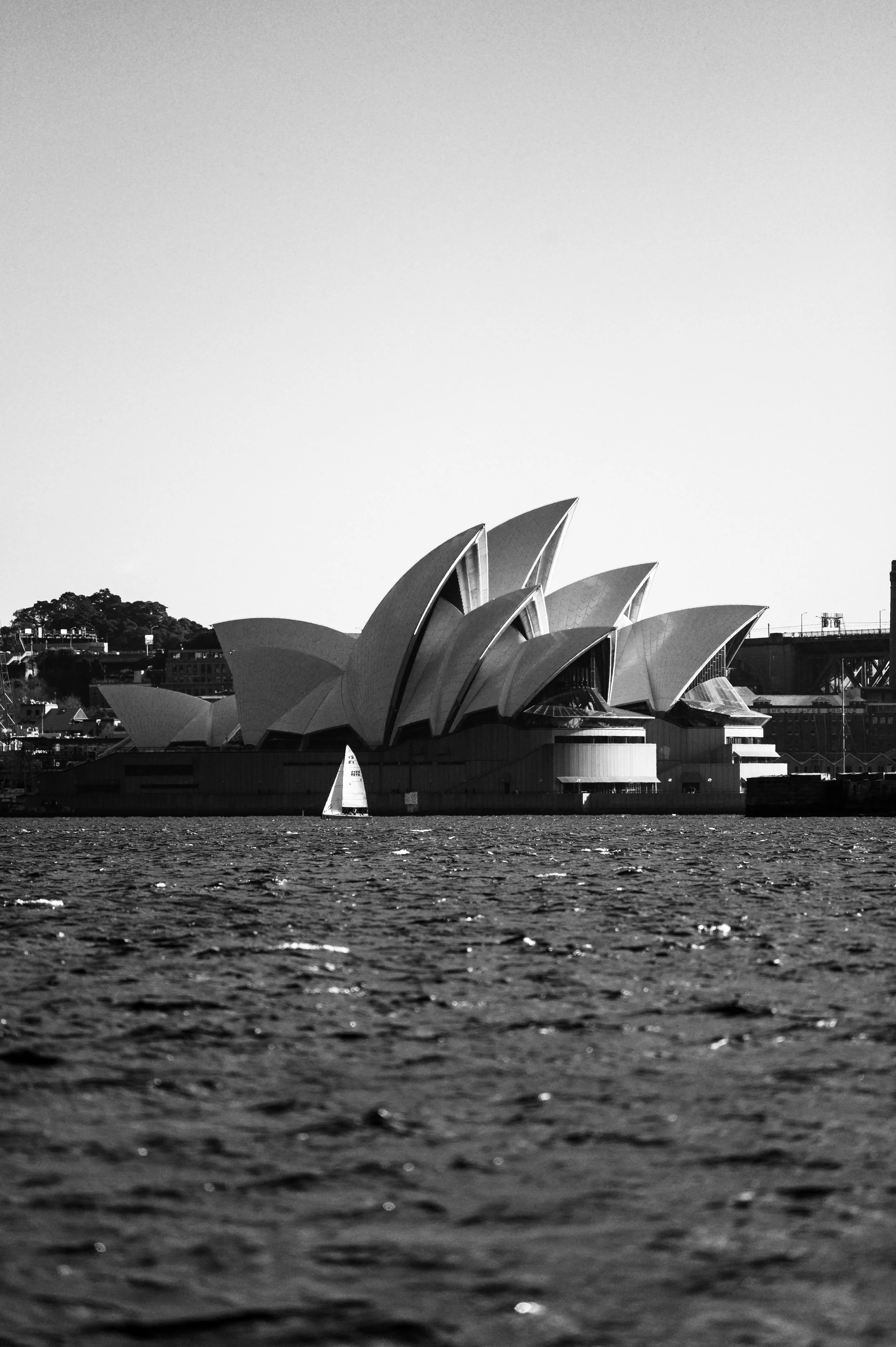 SailsonSails26-06-25.jpg