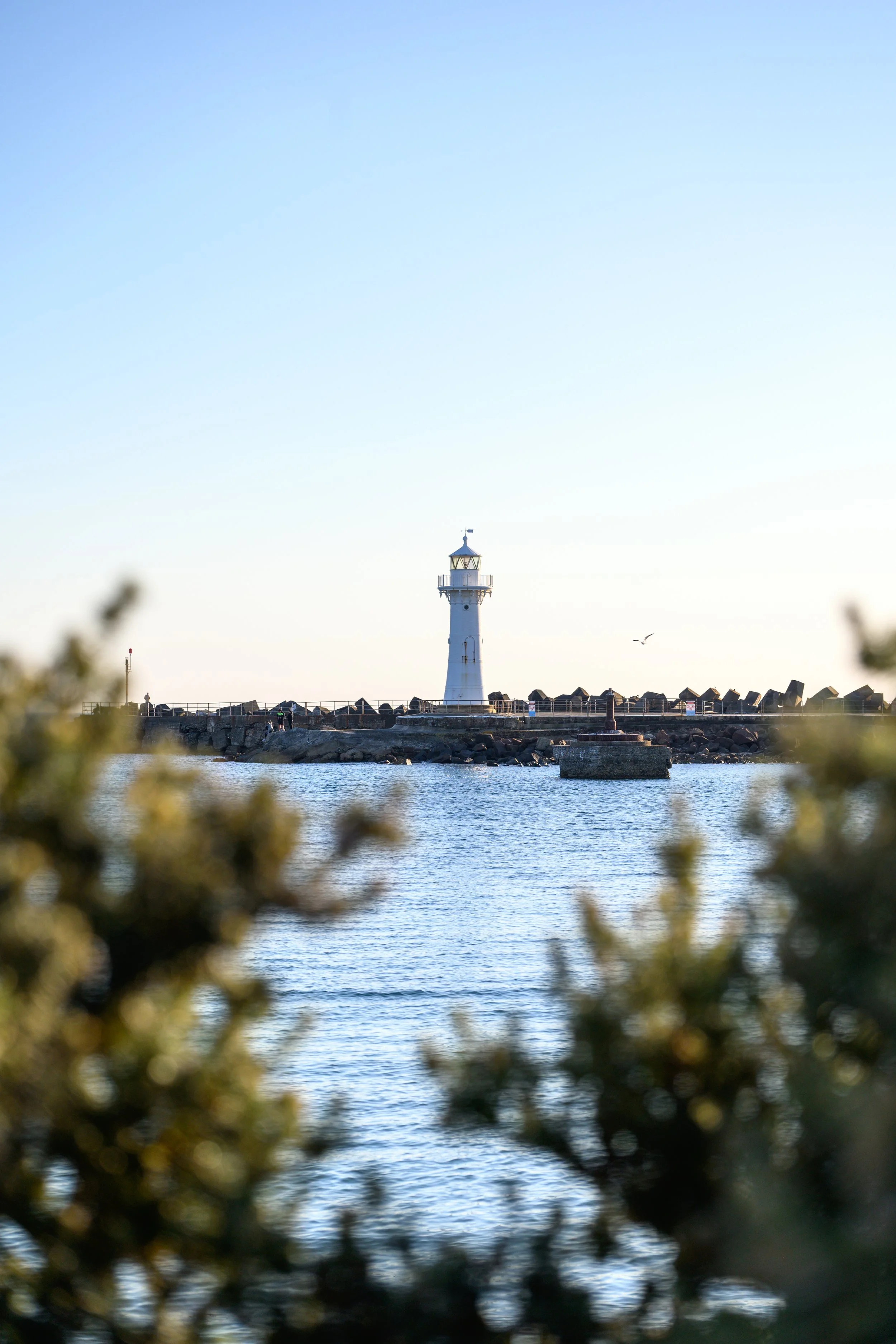Harbour Walk 21-09-26-38.jpg