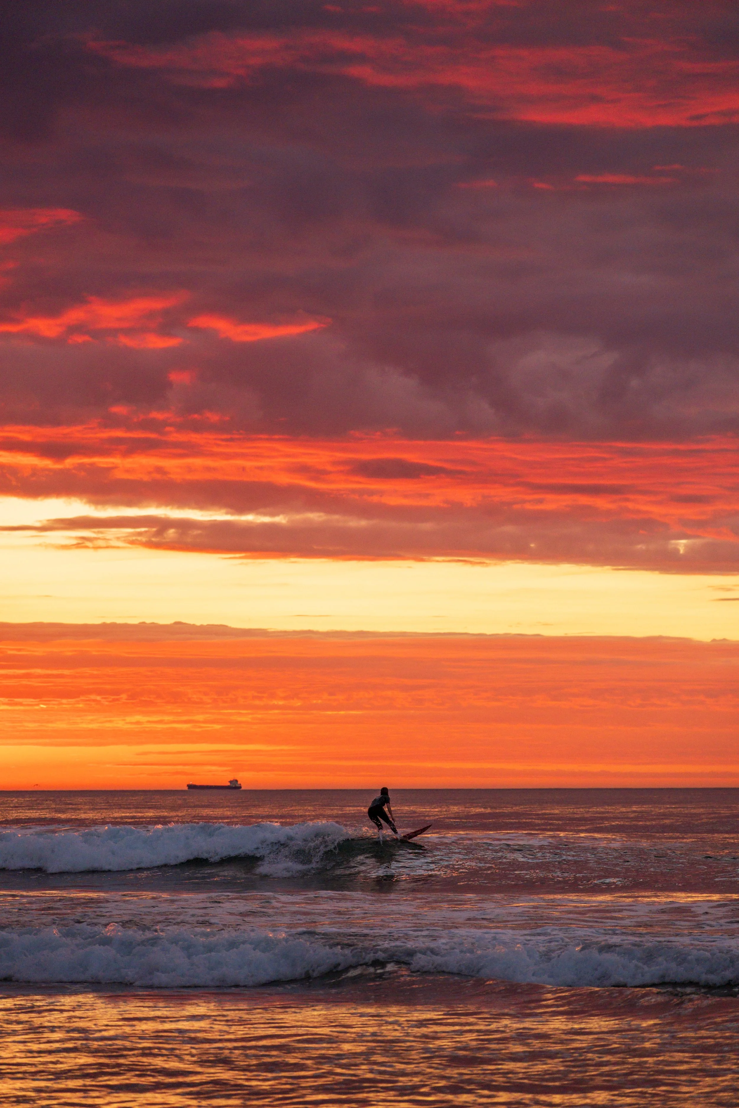 Corrimal stunner 10-04-2026-17.jpg